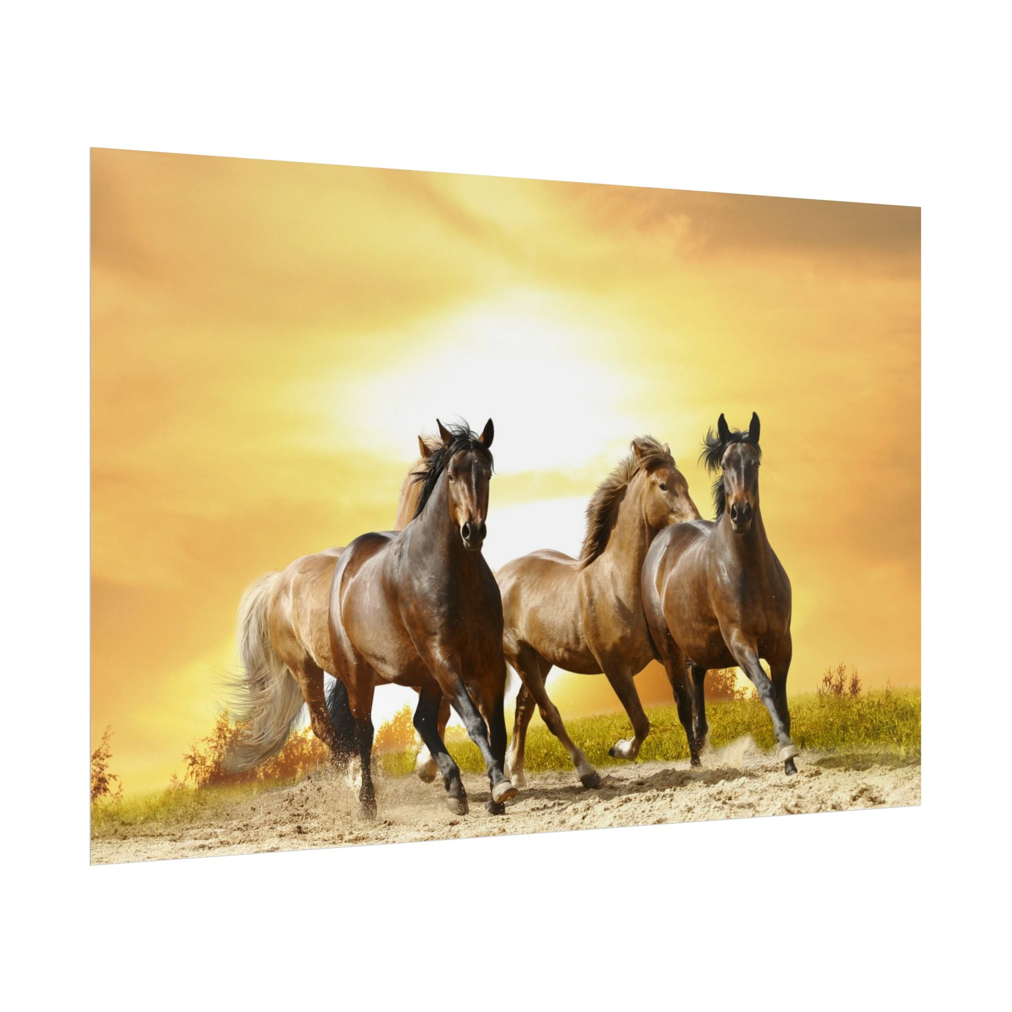 running-horse-poster-wall-art-farmhouse-wall-decor-home-decor-housewarming-gift-horse-print-wall-print-wild-animals