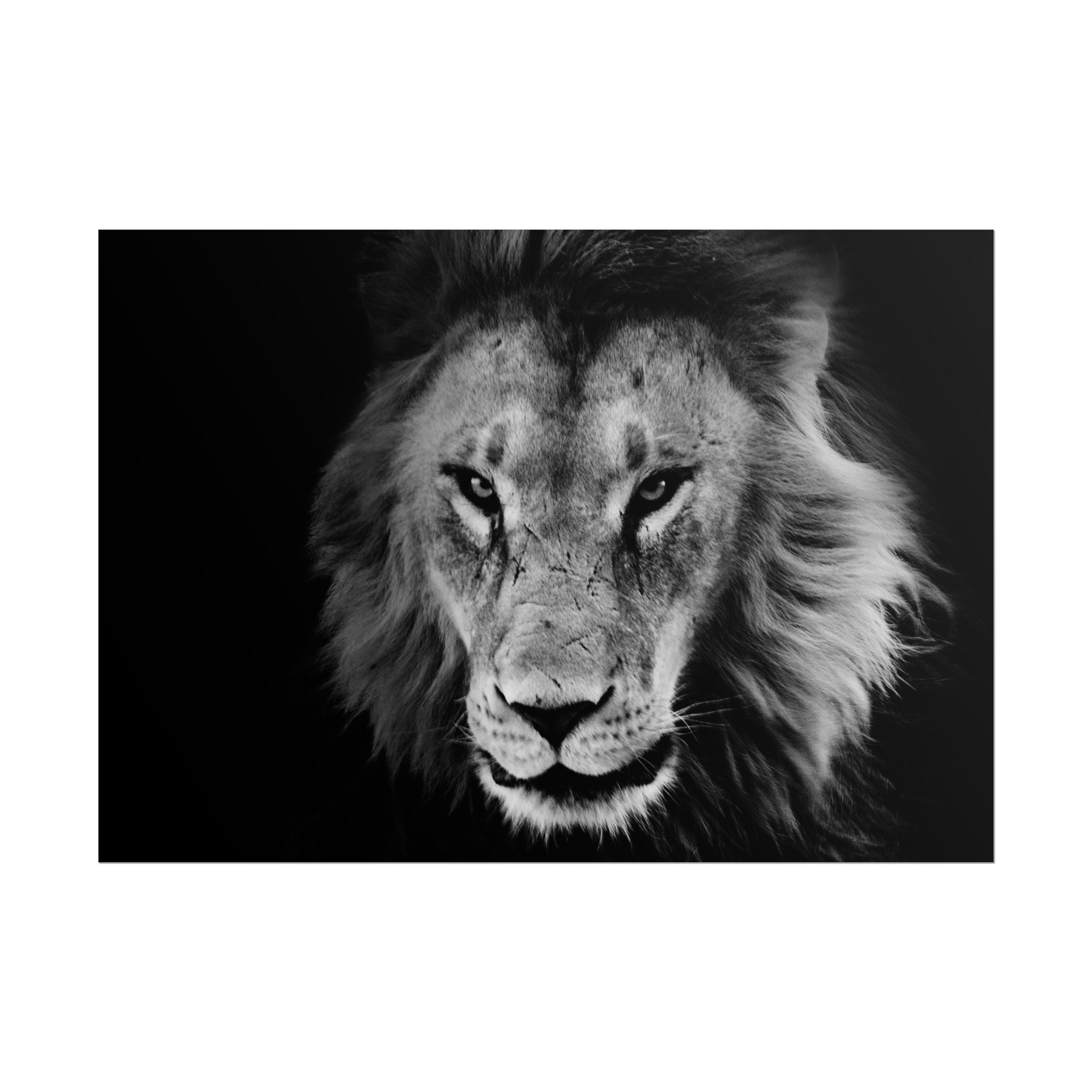 poster-print-lion-wall-art-black-and-white-living-room-decor-monochrome-art-lion-poster-jungle-animal-art-print-wildlife-safa