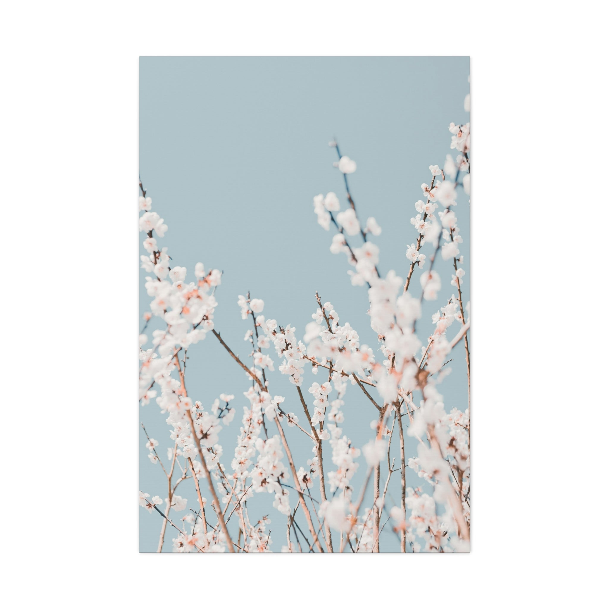 canvas-print-blossom-flowers-minimalist-aesthetic-wall-art-matte-stretched-1-25in-home-decor-floral-decor-elegant-artwork