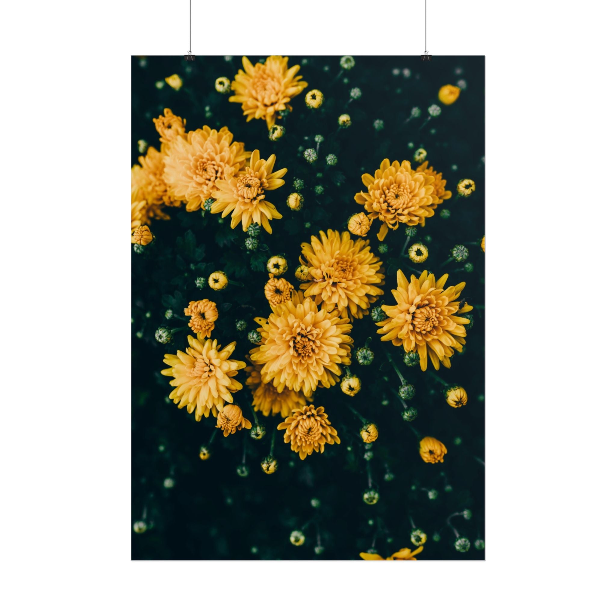 yellow-flower-art-poster-print-floral-wall-decor-floral-home-decor-gift-dark-botanical-art-print