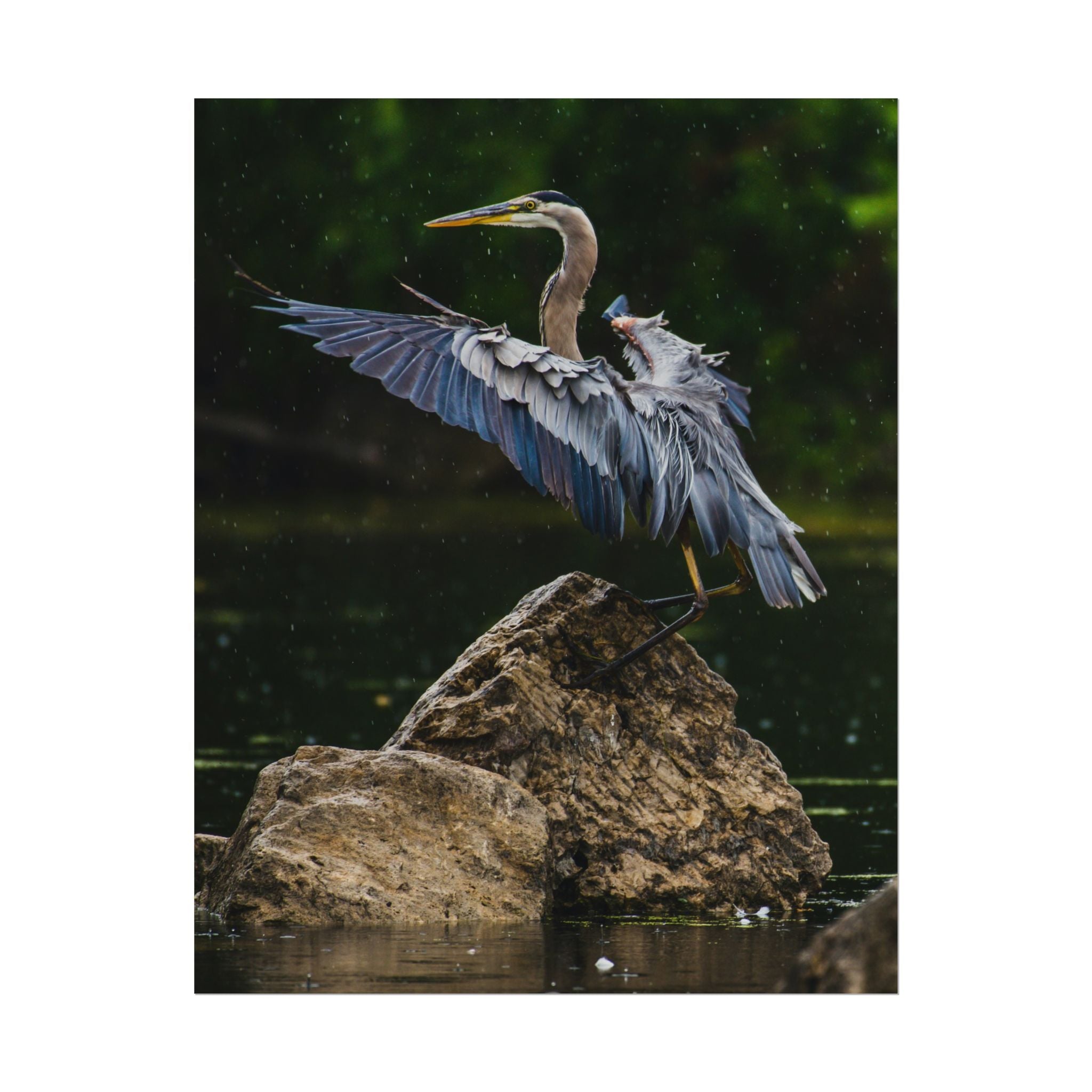 great-blue-heron-poster-wall-art-home-decor-bird-lover-gift-nature-wall-hanging-wildlife-poster
