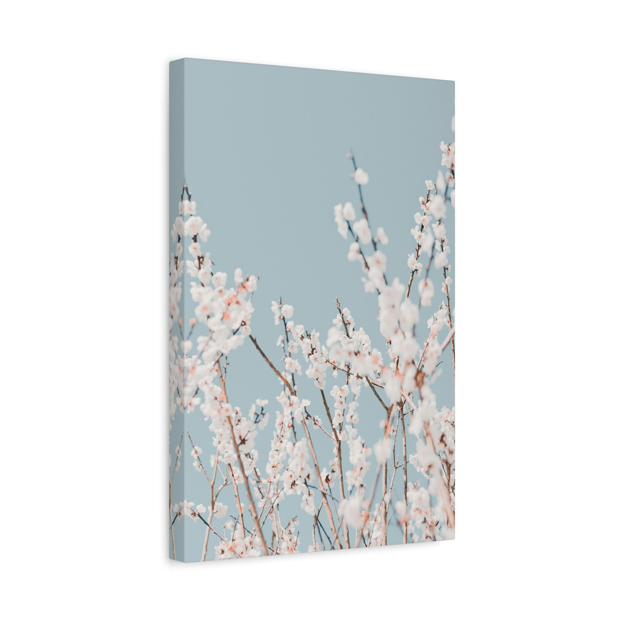 canvas-print-blossom-flowers-minimalist-aesthetic-wall-art-matte-stretched-1-25in-home-decor-floral-decor-elegant-artwork