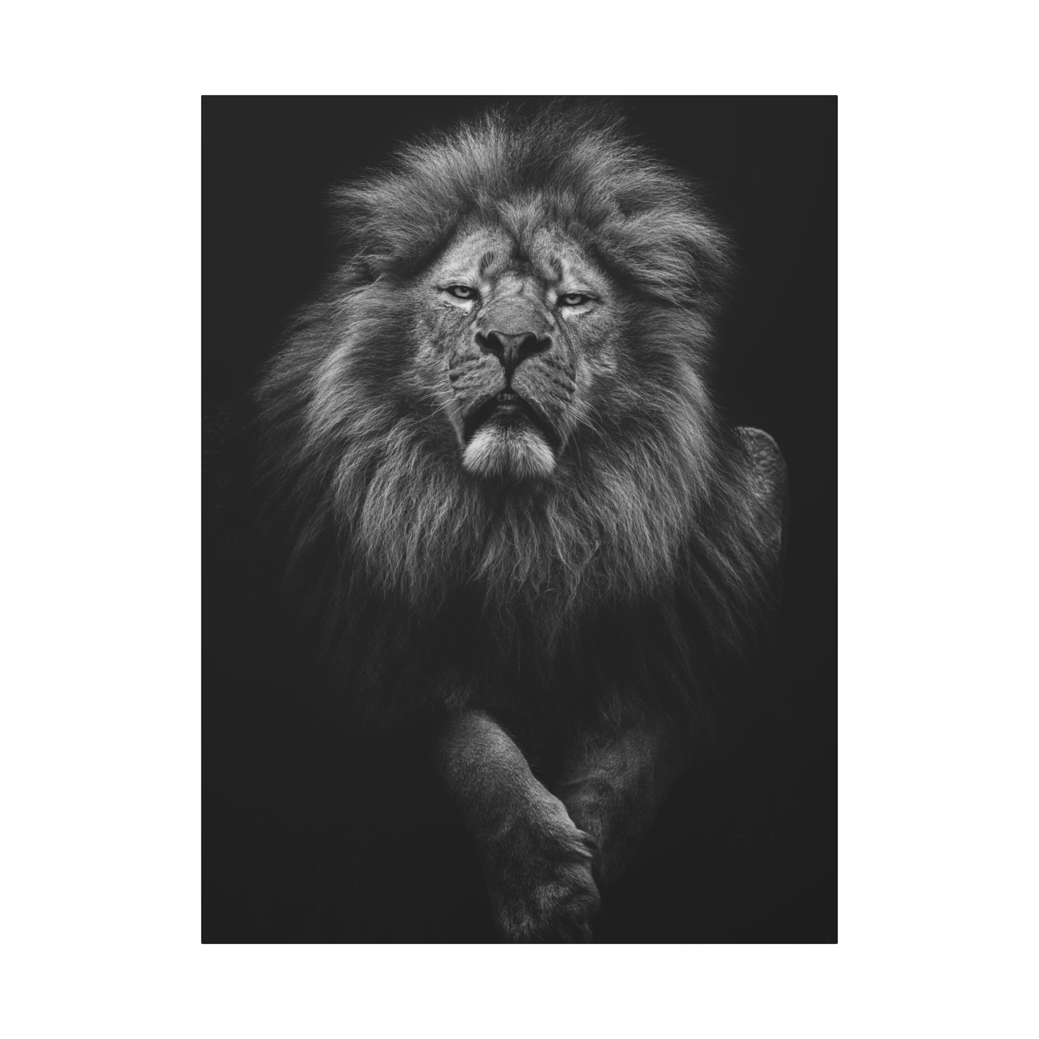 canvas-print-lion-wall-art-black-and-white-living-room-decor-matte-stretched-lion-poster-jungle-animal-art-print-wildlife-saf