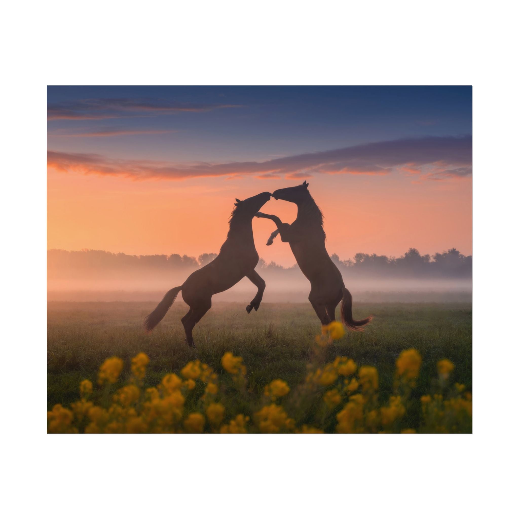 wild-rising-horses-poster-print-field-of-flowers-decor-home-decor-farmhouse-wall-decor-nature-wall-art-horse-Poster-print-mus