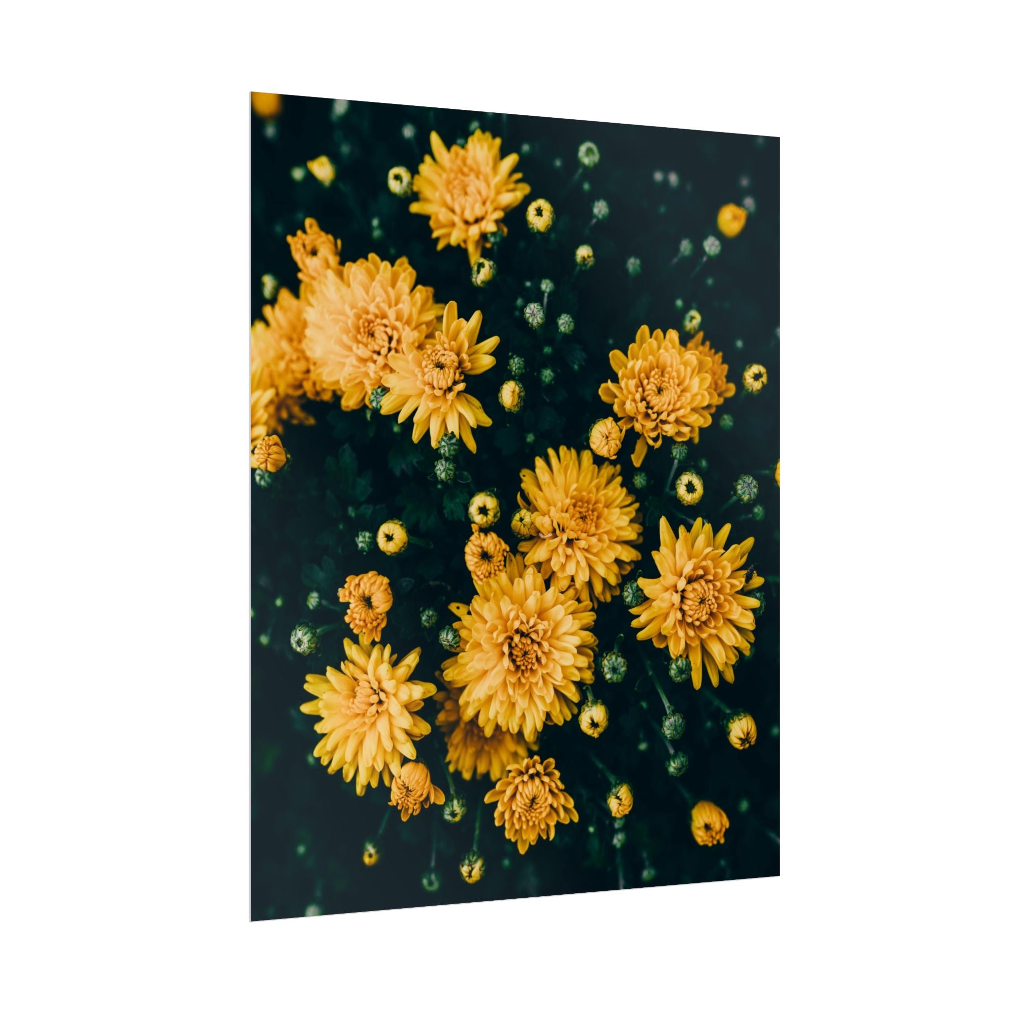 yellow-flower-art-poster-print-floral-wall-decor-floral-home-decor-gift-dark-botanical-art-print