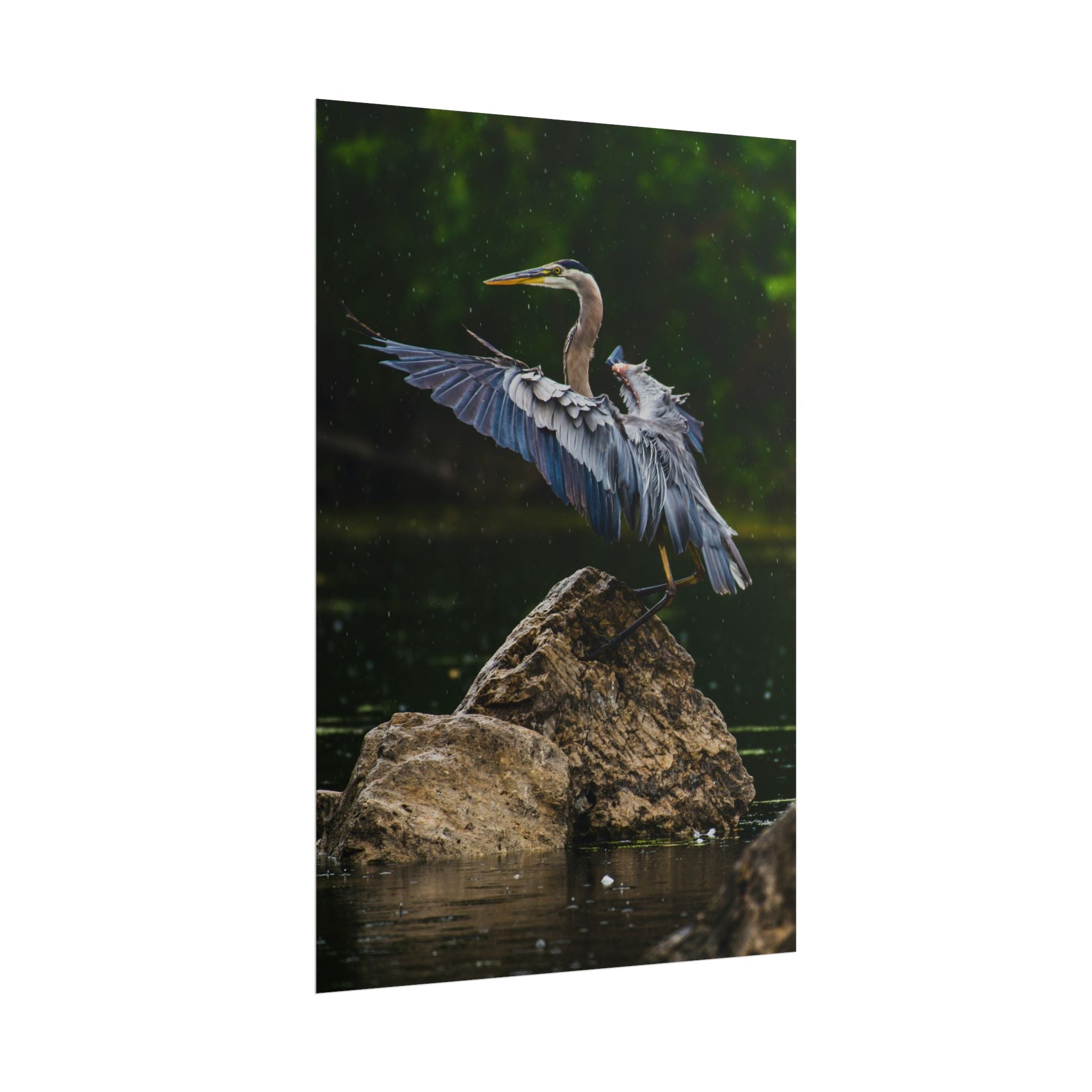 great-blue-heron-poster-wall-art-home-decor-bird-lover-gift-nature-wall-hanging-wildlife-poster