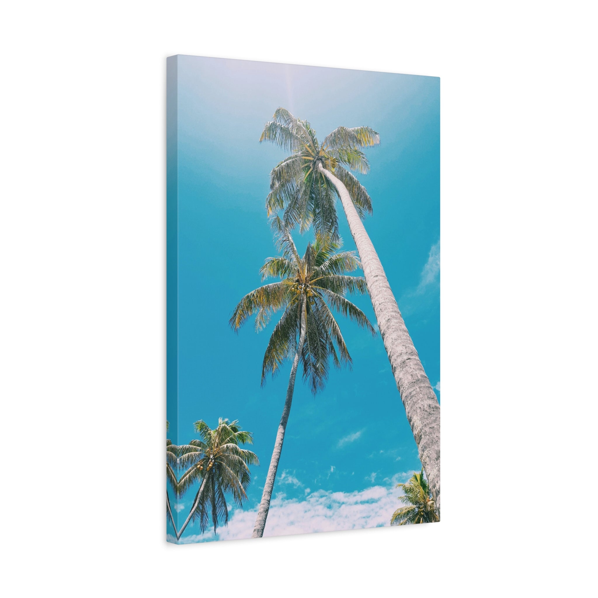 palm-tree-canvas-print-palm-tree-decor-wall-art-print-home-decor-palm-tree-fine-art-palm-tree-art-gallery-stretched-canvas-pr