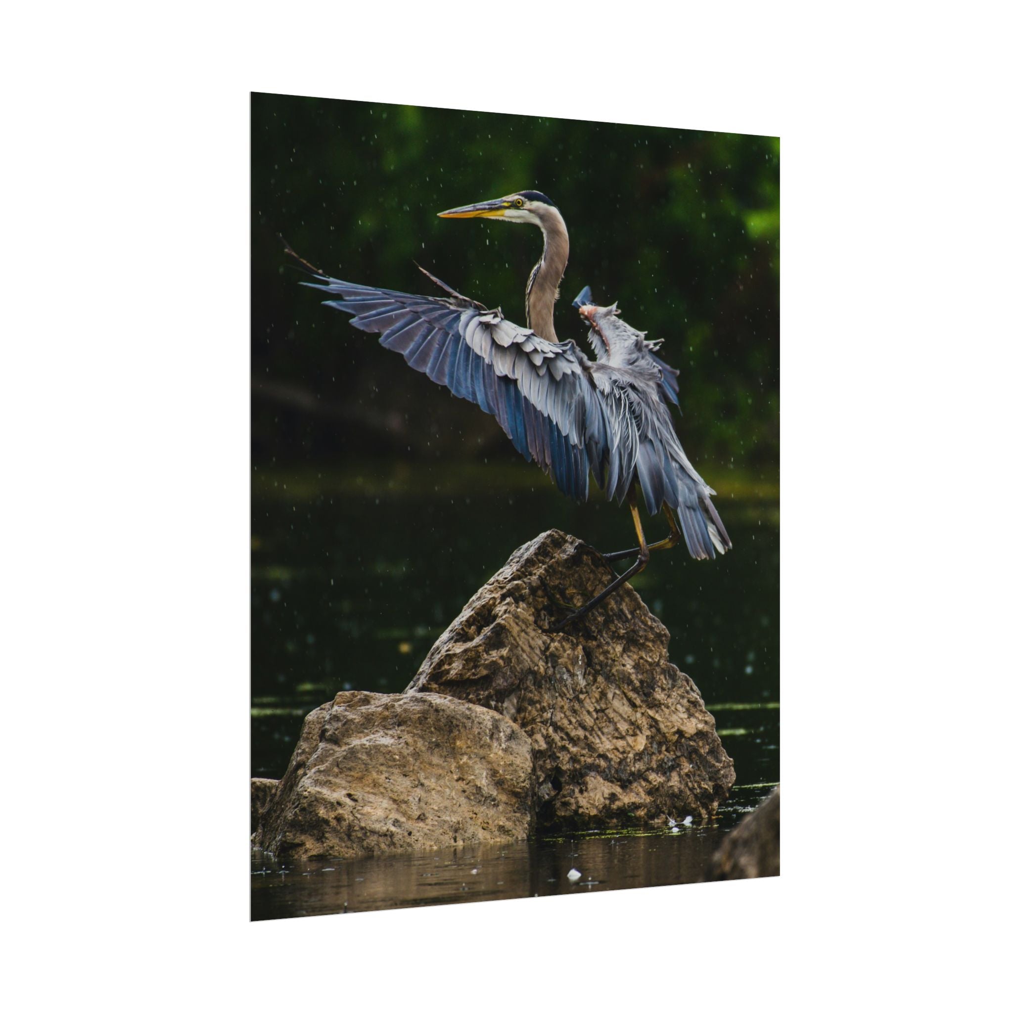 great-blue-heron-poster-wall-art-home-decor-bird-lover-gift-nature-wall-hanging-wildlife-poster