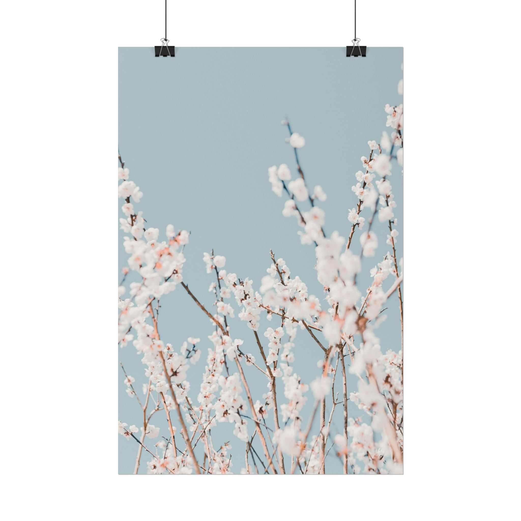 blossom-flowers-poster-print-minimalist-aesthetic-wall-art-fine-art-paper-home-decor-floral-decor-elegant-artwork