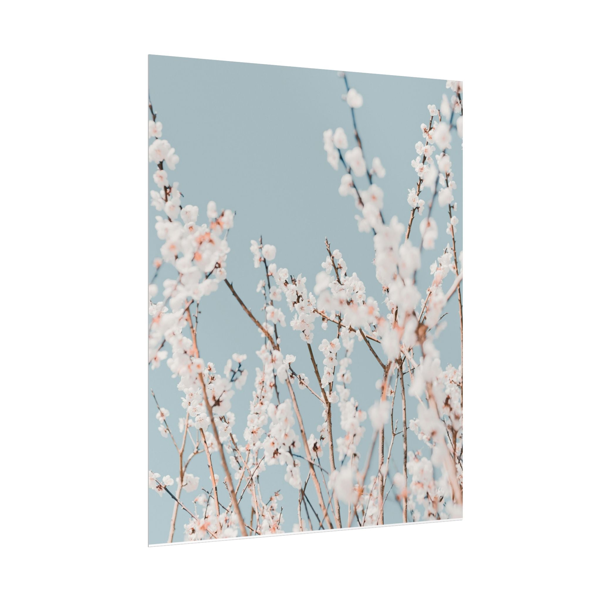 blossom-flowers-poster-print-minimalist-aesthetic-wall-art-fine-art-paper-home-decor-floral-decor-elegant-artwork
