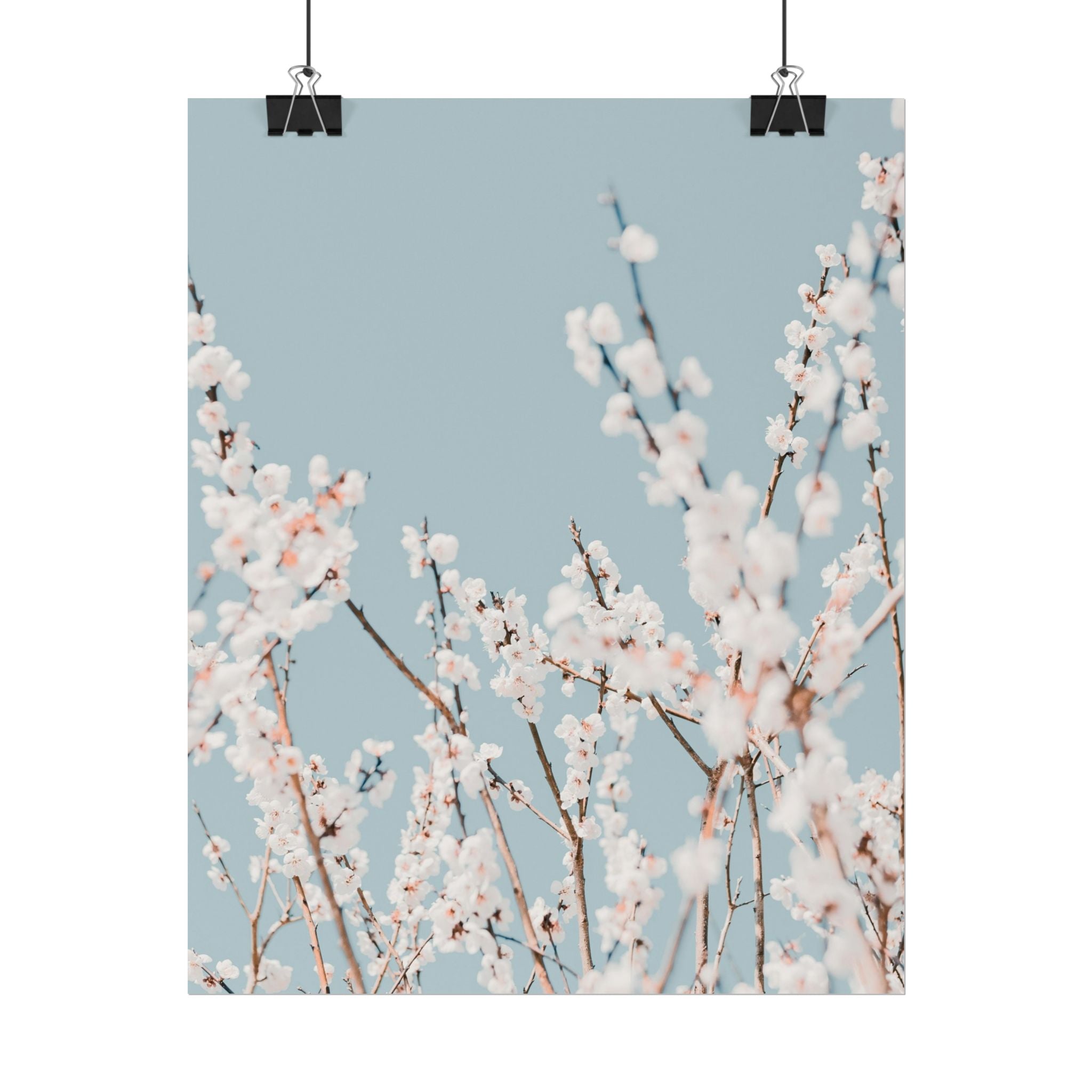 blossom-flowers-poster-print-minimalist-aesthetic-wall-art-fine-art-paper-home-decor-floral-decor-elegant-artwork
