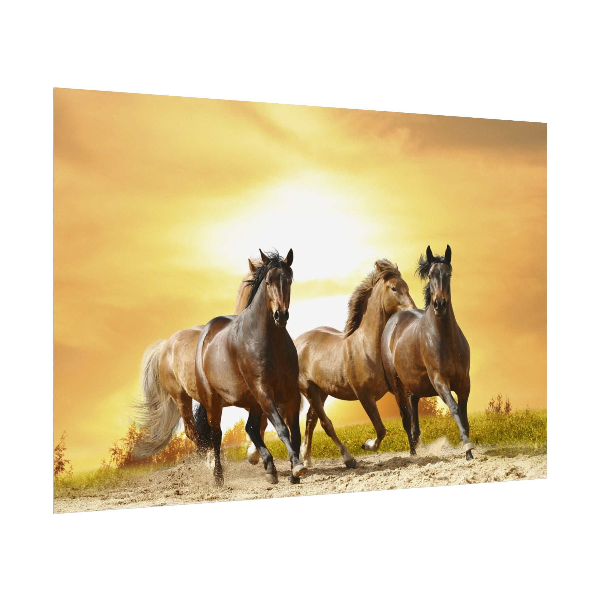 running-horse-poster-wall-art-farmhouse-wall-decor-home-decor-housewarming-gift-horse-print-wall-print-wild-animals