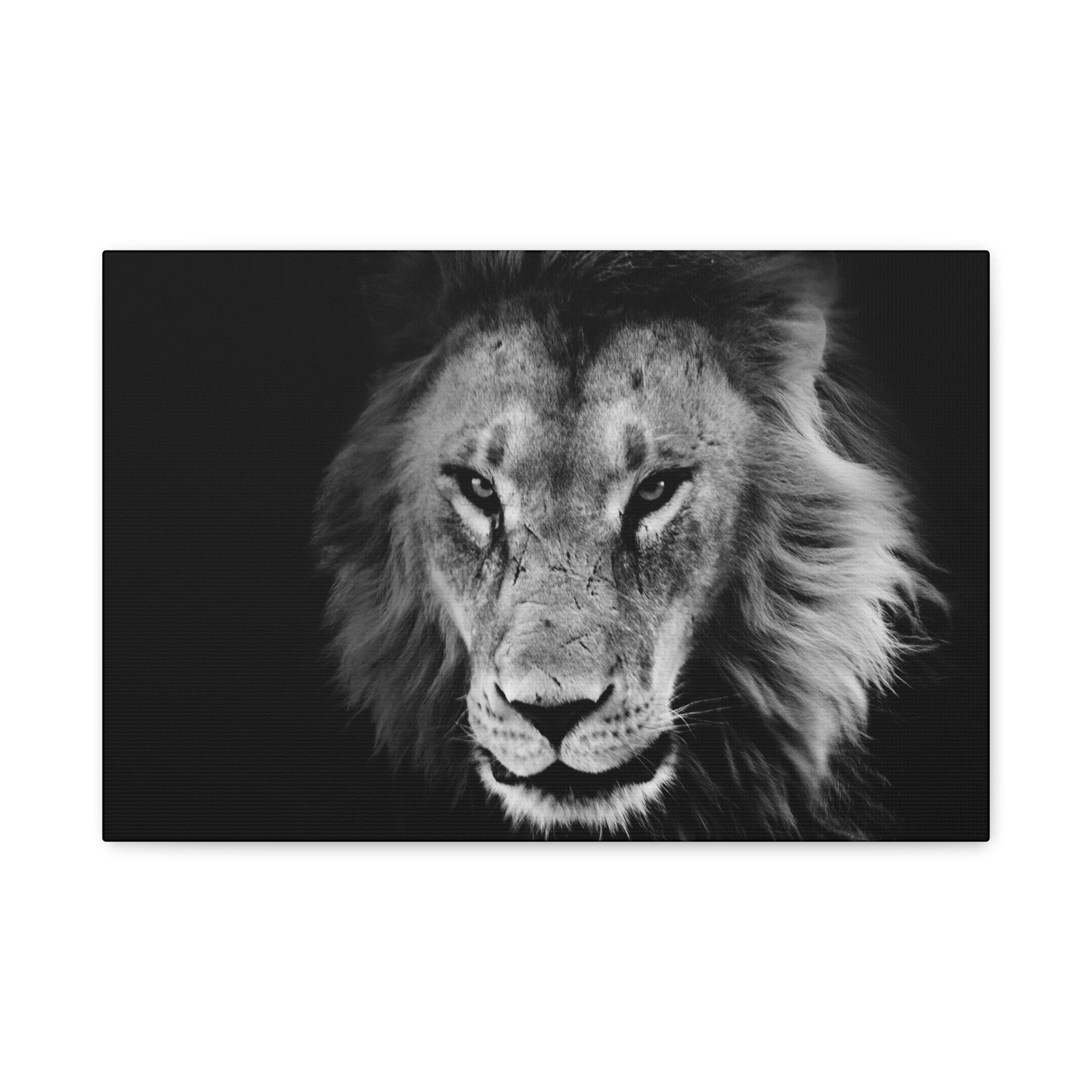 canvas-print-lion-wall-art-black-and-white-living-room-decor-matte-stretched-lion-poster-jungle-animal-art-print-wildlife-saf