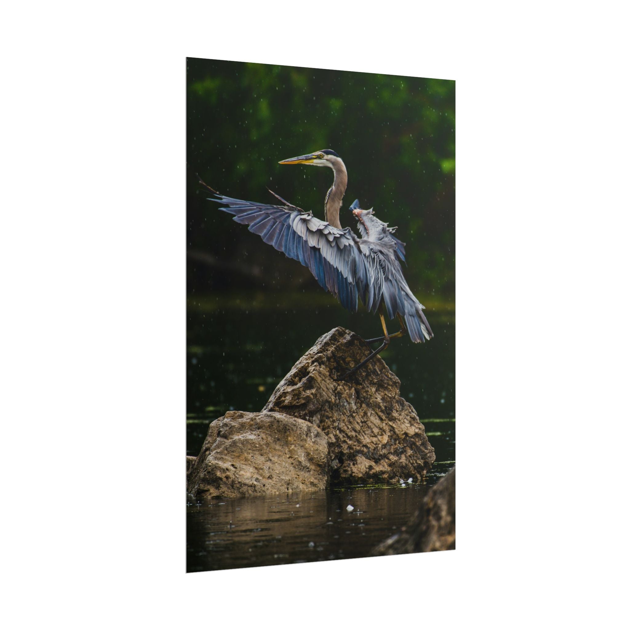 great-blue-heron-poster-wall-art-home-decor-bird-lover-gift-nature-wall-hanging-wildlife-poster