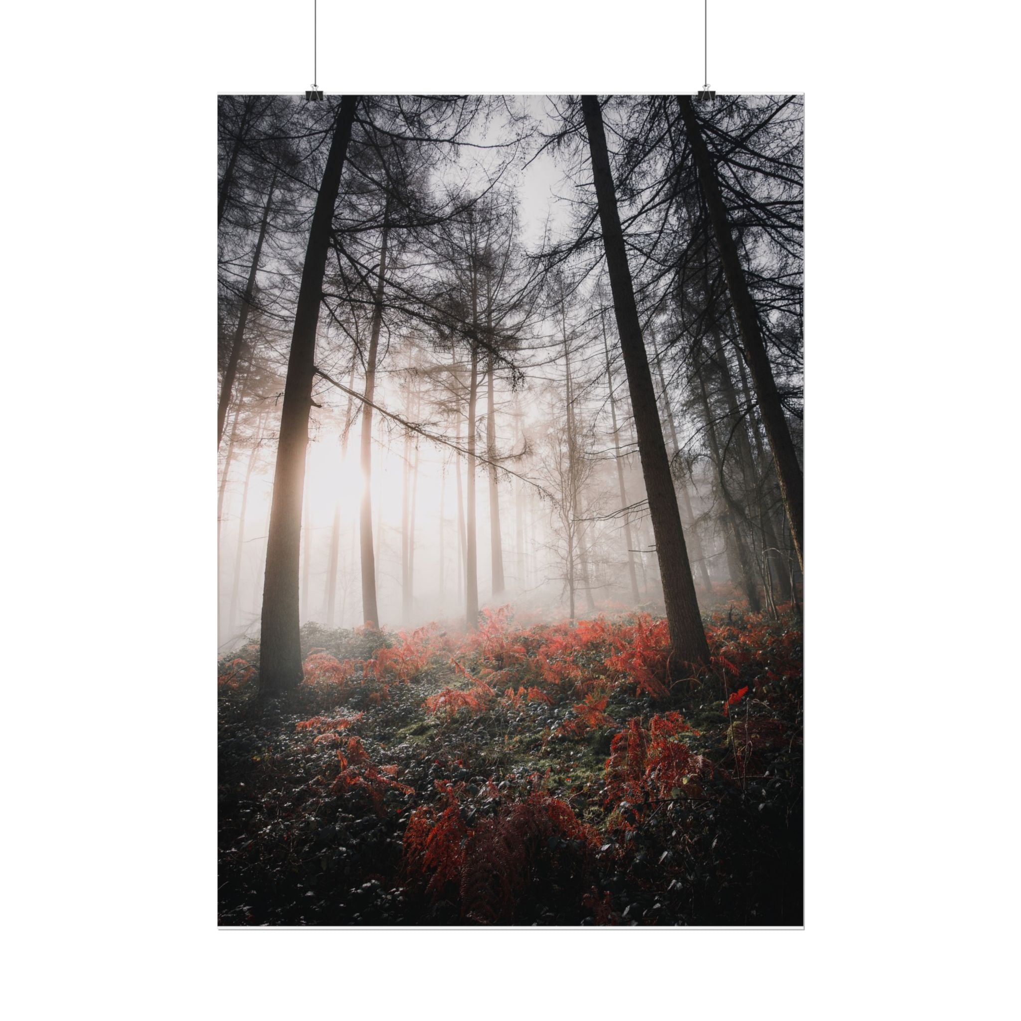 poster-print-misty-woods-art-living-room-wall-decor-sunlight-forest-landscape-aesthetic-nature-art-nature-artwork-poster-gift
