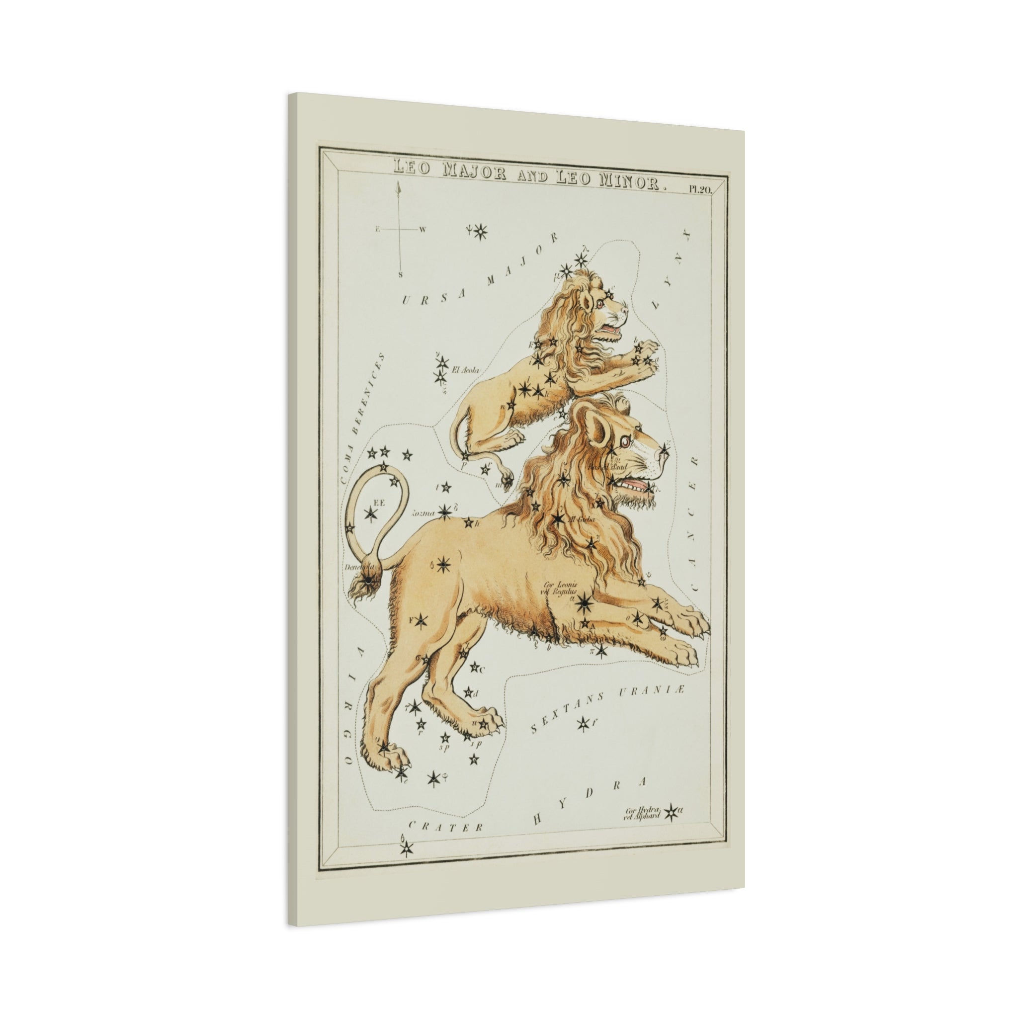 canvas-print-star-map-leo-major-leo-minor-celestial-gift-vintage-map-celestial-map-wall-art-decor-astronomy-decor-constellati