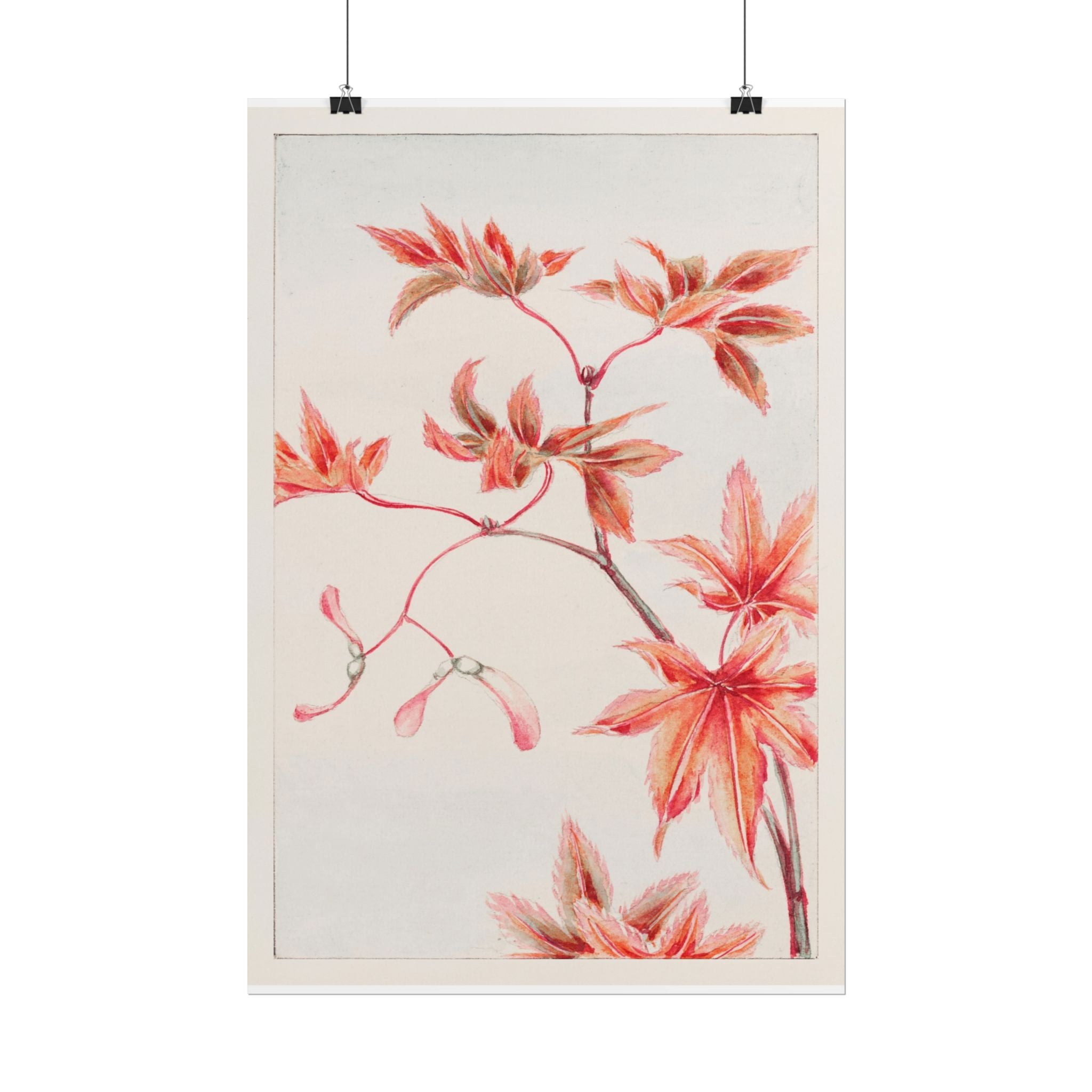 poster-print-branch-of-momiji-maple-tree-with-leaves-floral-wall-art-rolled-posters-wall-decor-room-decoration-nature-art-bot
