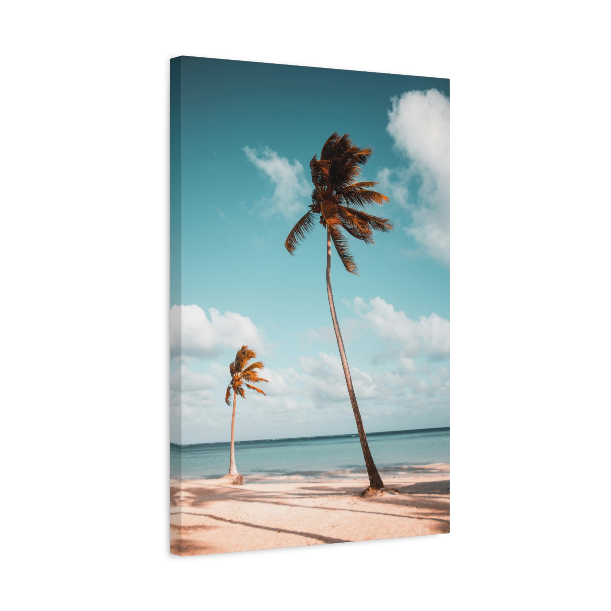 palm-tree-canvas-print-palm-tree-decor-wall-art-print-home-decor-palm-tree-fine-art-palm-tree-art-gallery-stretched-canvas-pr