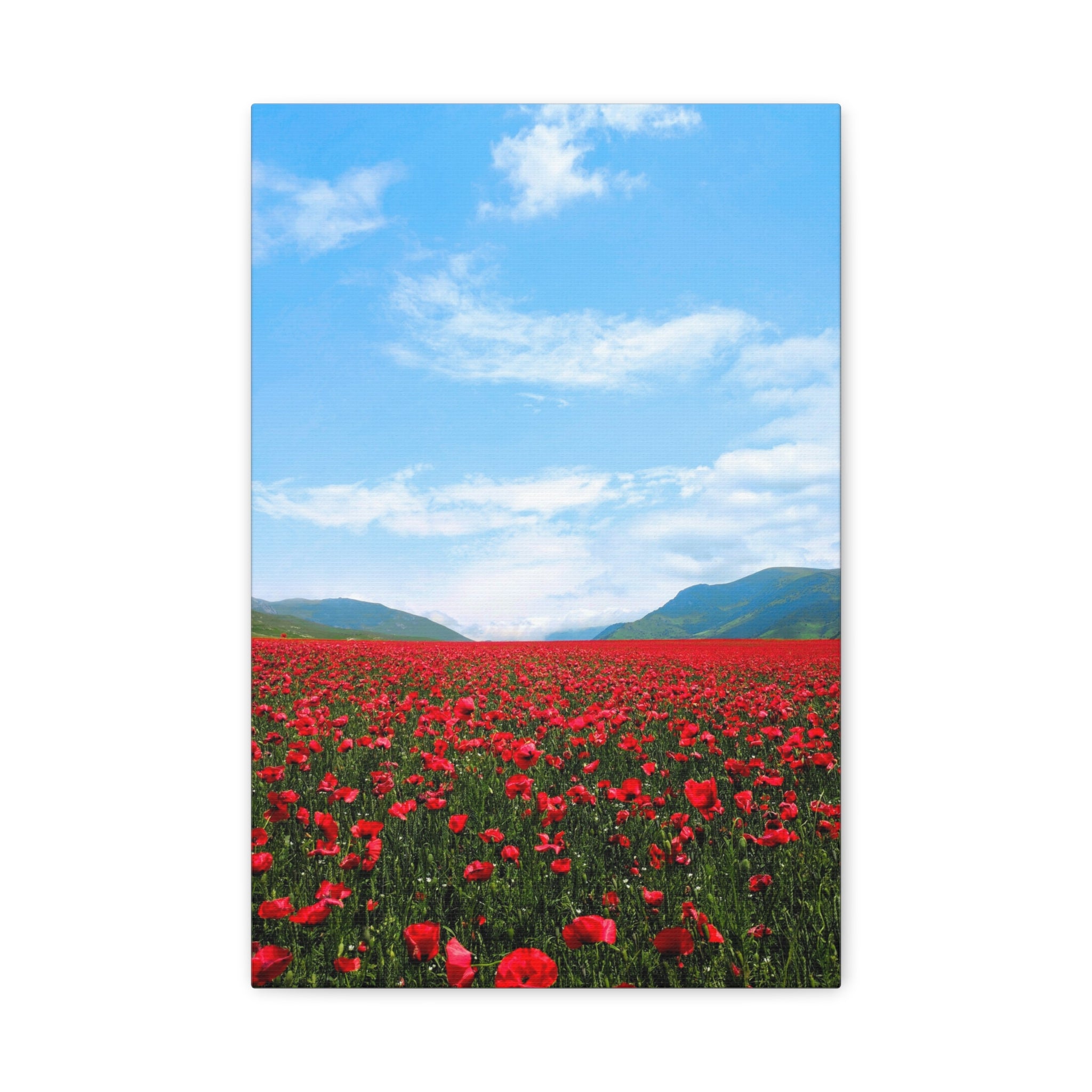 canvas-wall-art-red-poppy-flower-print-spring-floral-decor-matte-stretched-1-25-inch-home-office-decoration