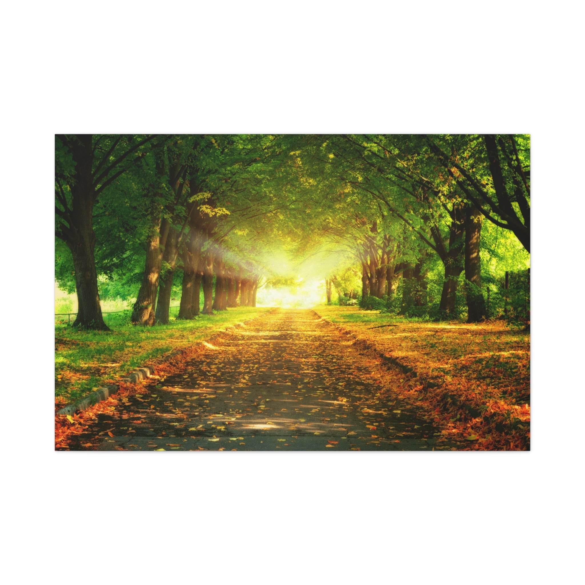 canvas-print-sunset-landscape-wall-art-nature-decor-fall-trees-living-room-decor-road-leaves-autumn-decor-fall-canvas