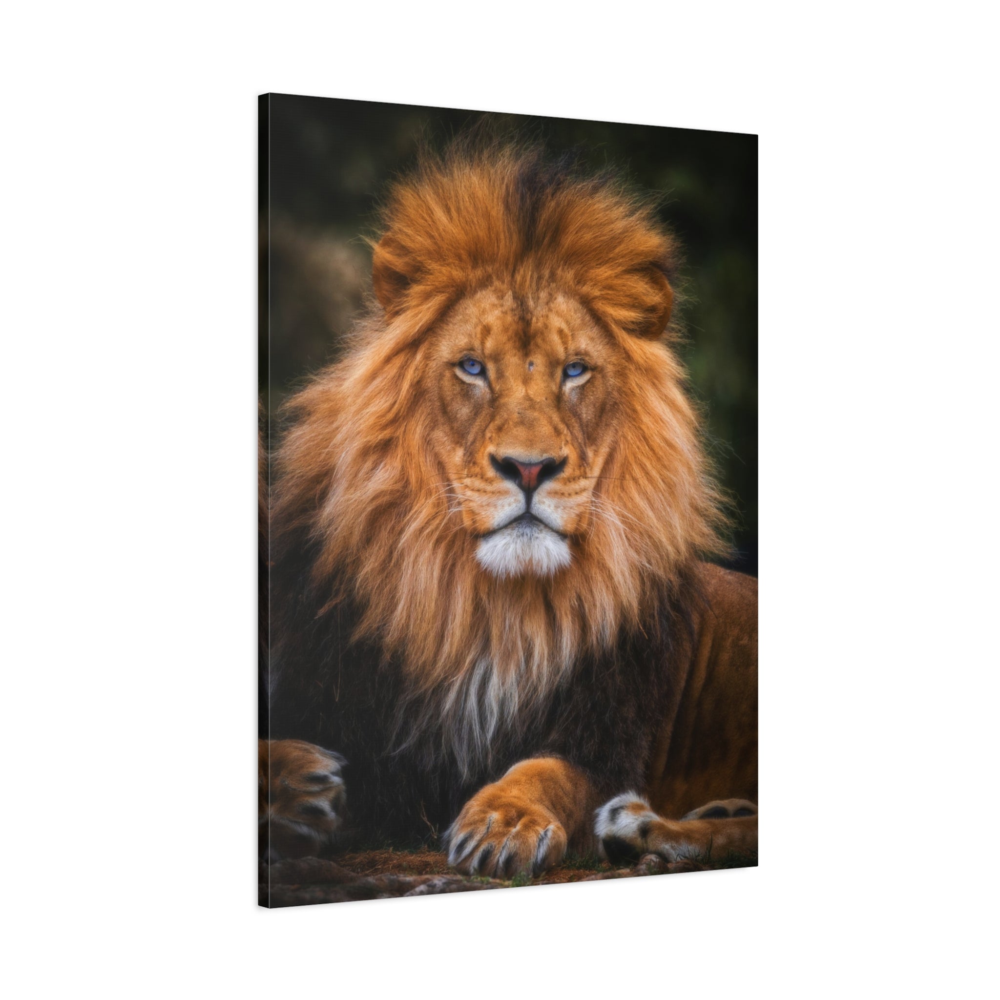canvas-print-blue-eyed-lion-wall-art-wildlife-home-decor-animal-lover-gift-safari-nursery-decoration-wildlife-art-print-lion-