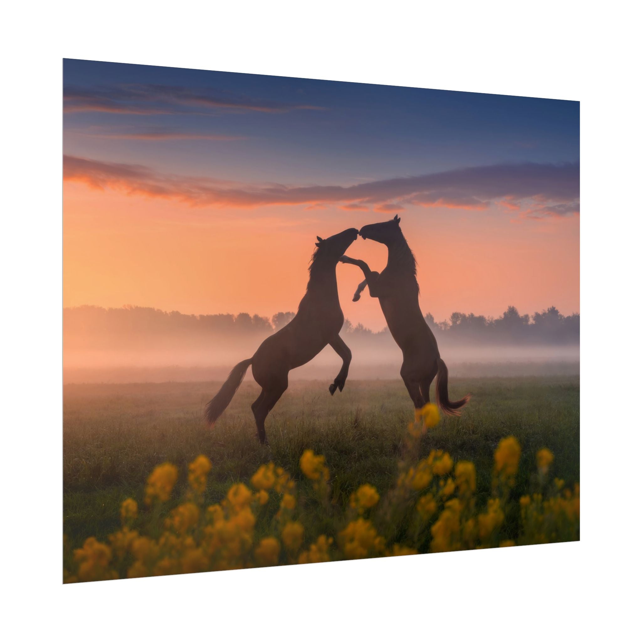 Wild Rising Horses Poster Print, Field of Flowers Decor, Home Decor, Farmhouse Wall Decor, Nature Wall Art, Horse Canvas Print, Mustang