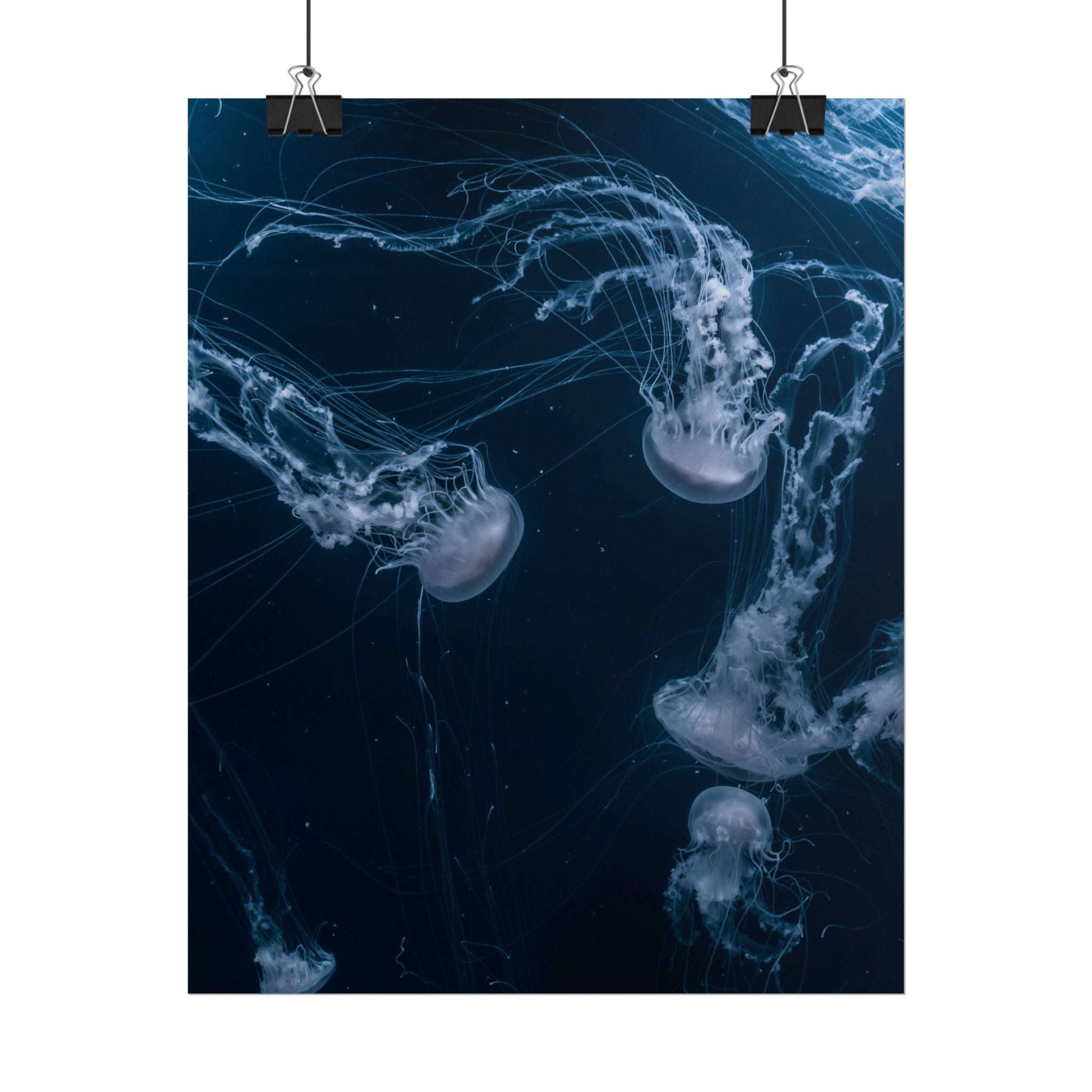 long-jellyfish-wall-art-poster-print-wall-hanging-ocean-life-deep-ocean-decor-home-decor-housewarming-gift
