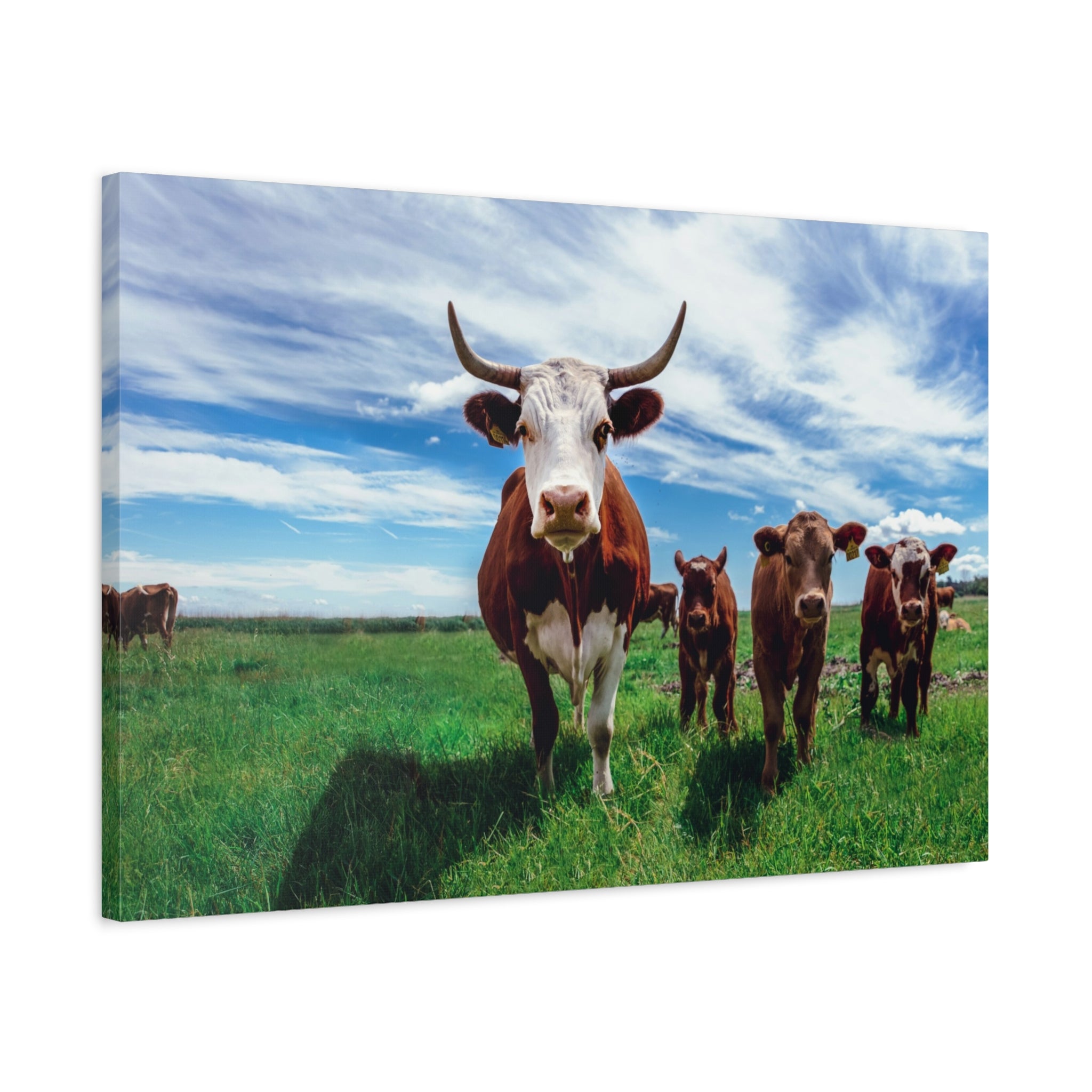 canvas-print-cow-art-home-decor-wall-art-farmhouse-art-living-room-decor-matte-canvas-print-cow-lovers-gift
