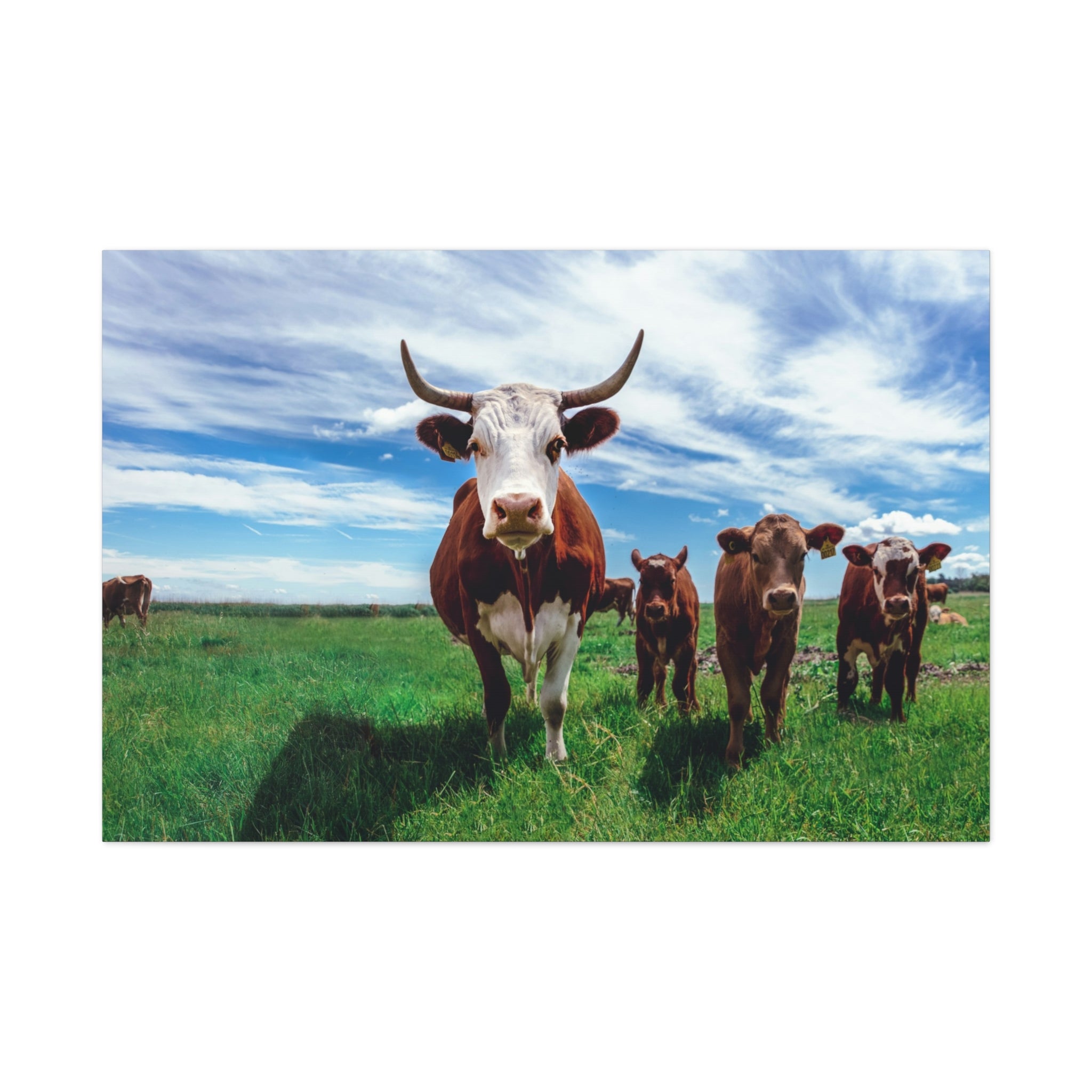 canvas-print-cow-art-home-decor-wall-art-farmhouse-art-living-room-decor-matte-canvas-print-cow-lovers-gift