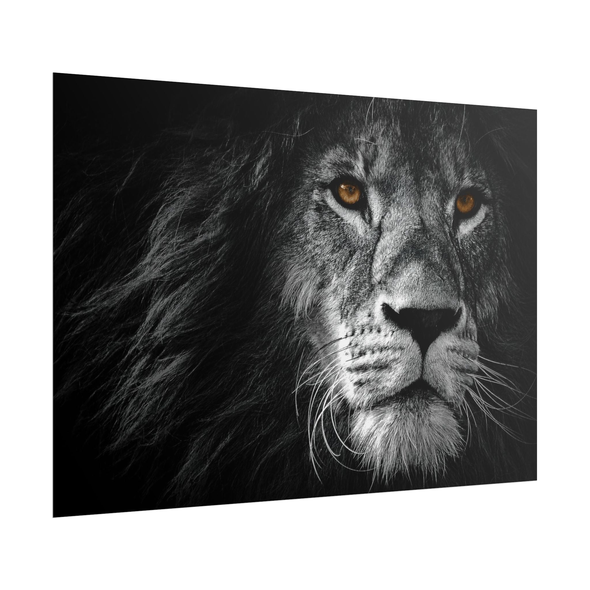poster-print-lion-wall-art-black-and-white-monochrome-decor-living-room-decor-lion-poster-jungle-animal-art-print-wildlife-sa