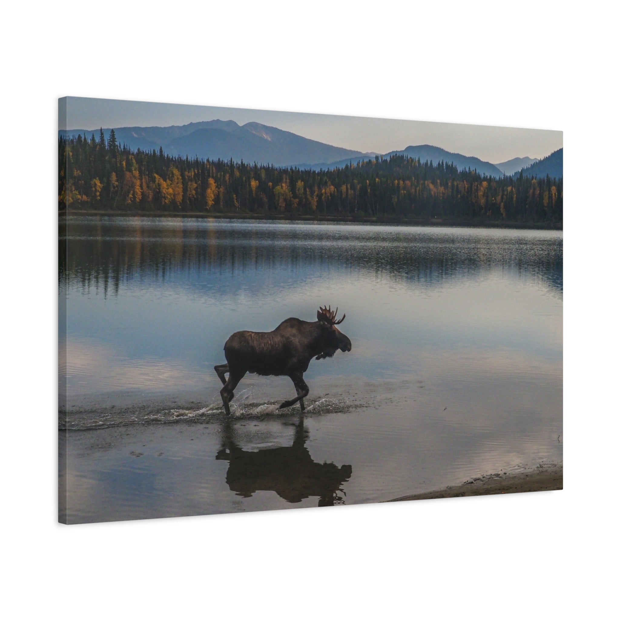 canvas-art-print-rustic-moose-wall-decor-cabin-lodge-wildlife-painting-nature-home-decor-wilderness-animal-poster-farmhouse-w