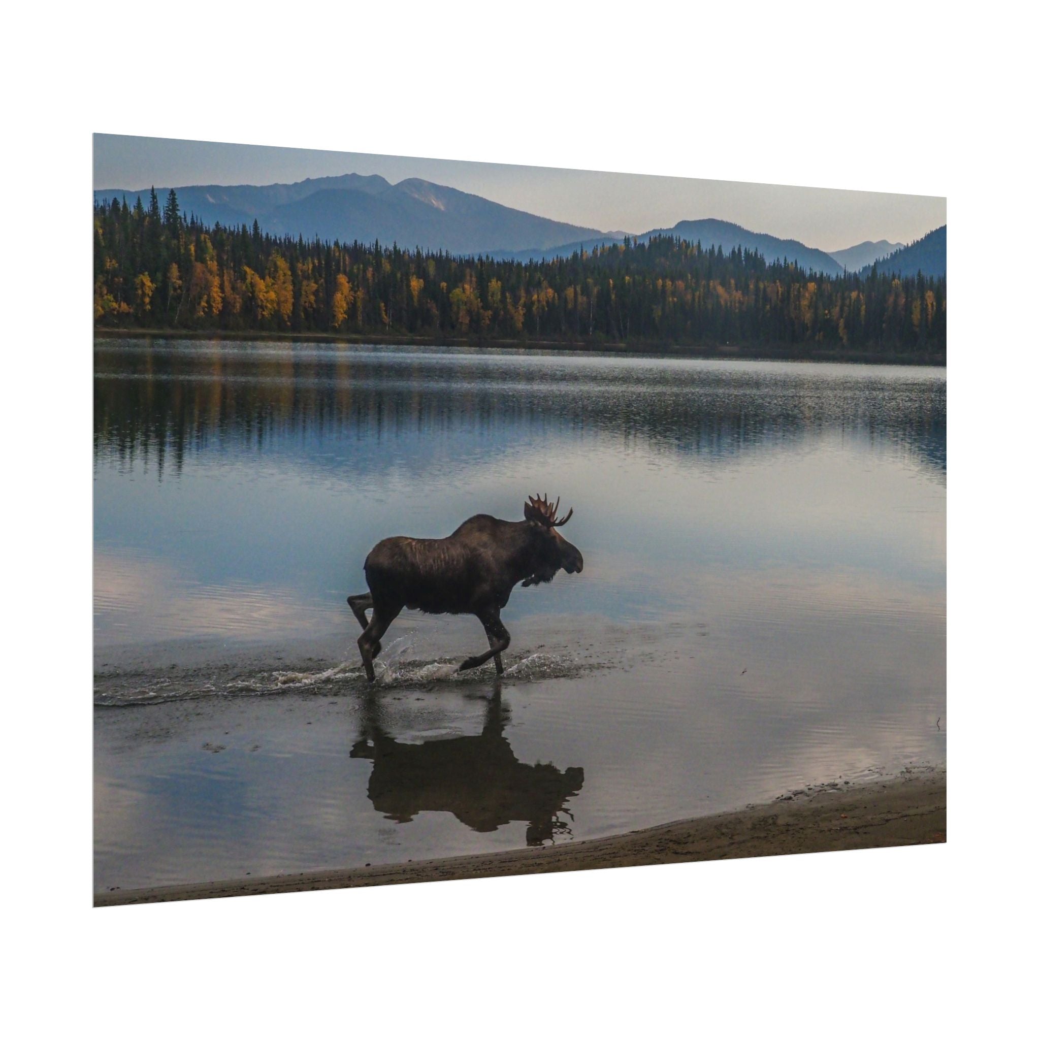 rustic-moose-poster-wall-decor-cabin-lodge-wildlife-painting-nature-home-decor-wilderness-animal-poster-farmhouse-wall-art