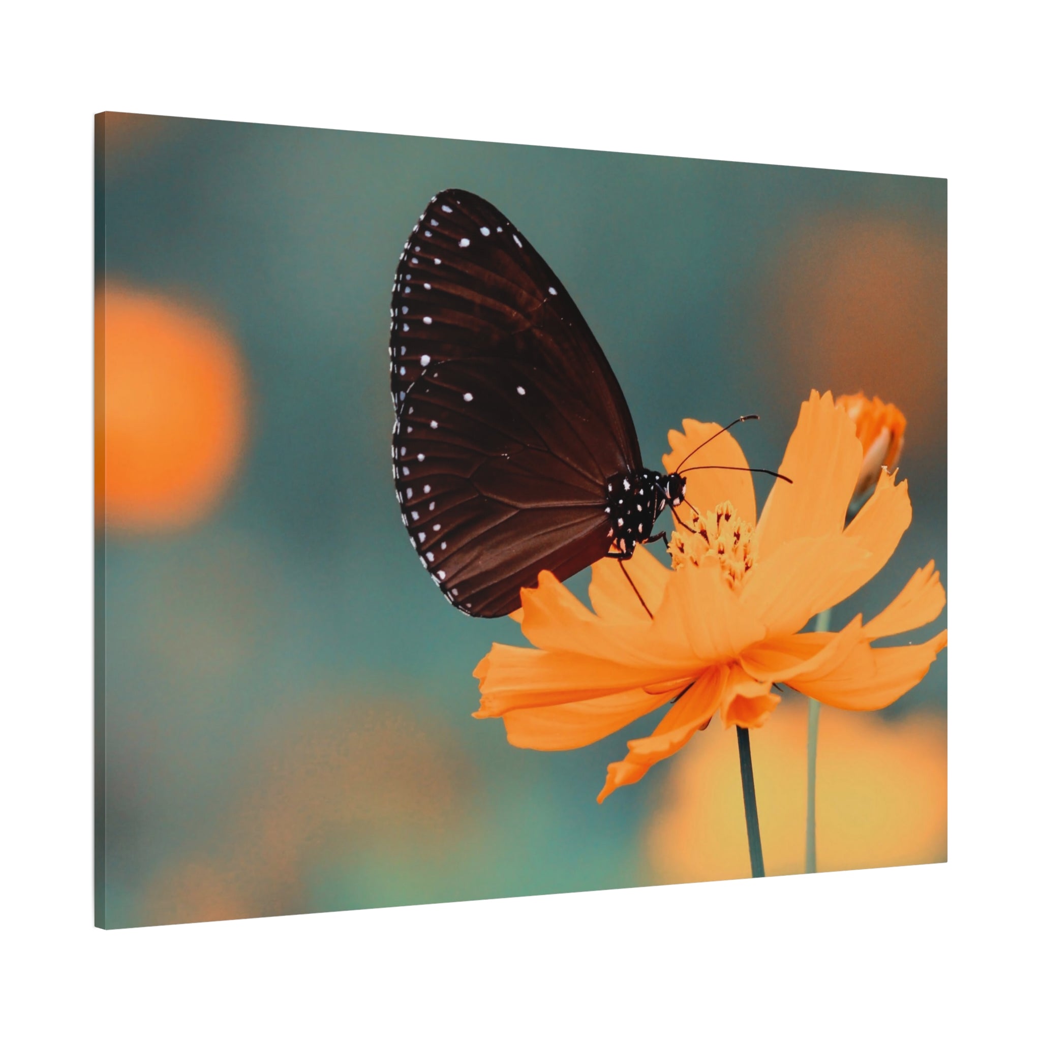 canvas-print-aesthetic-butterfly-monarch-butterfly-living-room-decor-housewarming-gift-wall-art-nature-wall-art-butterfly-dec