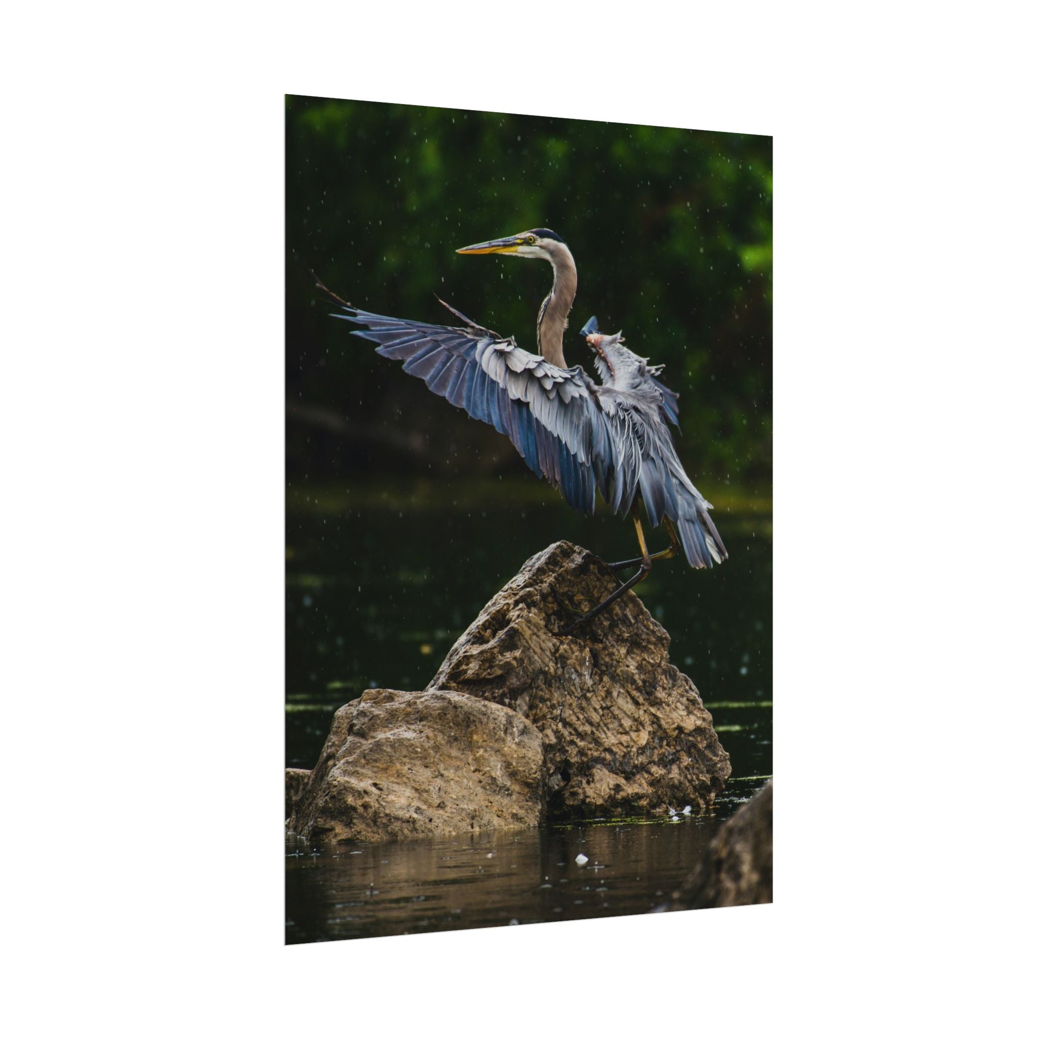 great-blue-heron-poster-wall-art-home-decor-bird-lover-gift-nature-wall-hanging-wildlife-poster