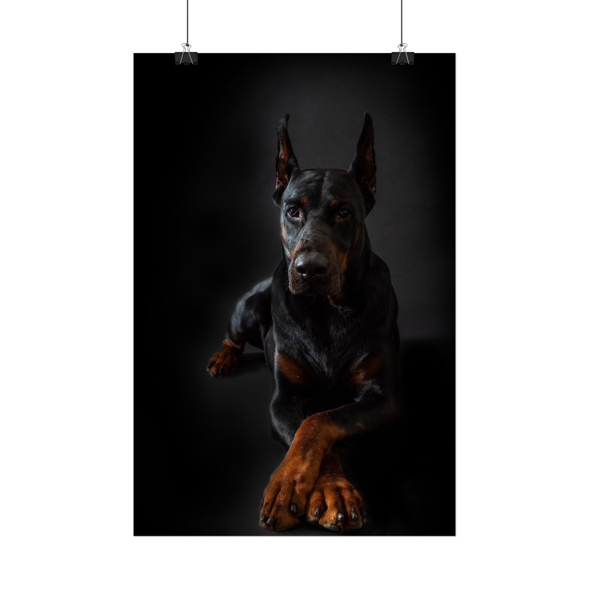 doberman-pincher-poster-print-rolled-posters-wall-art-home-decor-dog-lover-gift-animal-art-room-decoration