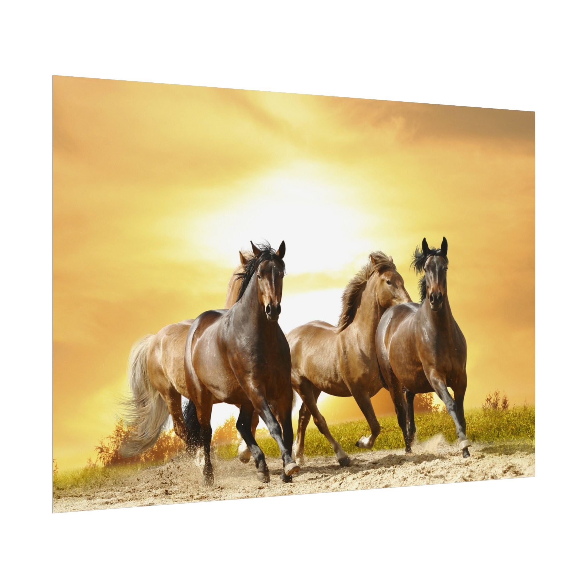 running-horse-poster-wall-art-farmhouse-wall-decor-home-decor-housewarming-gift-horse-print-wall-print-wild-animals