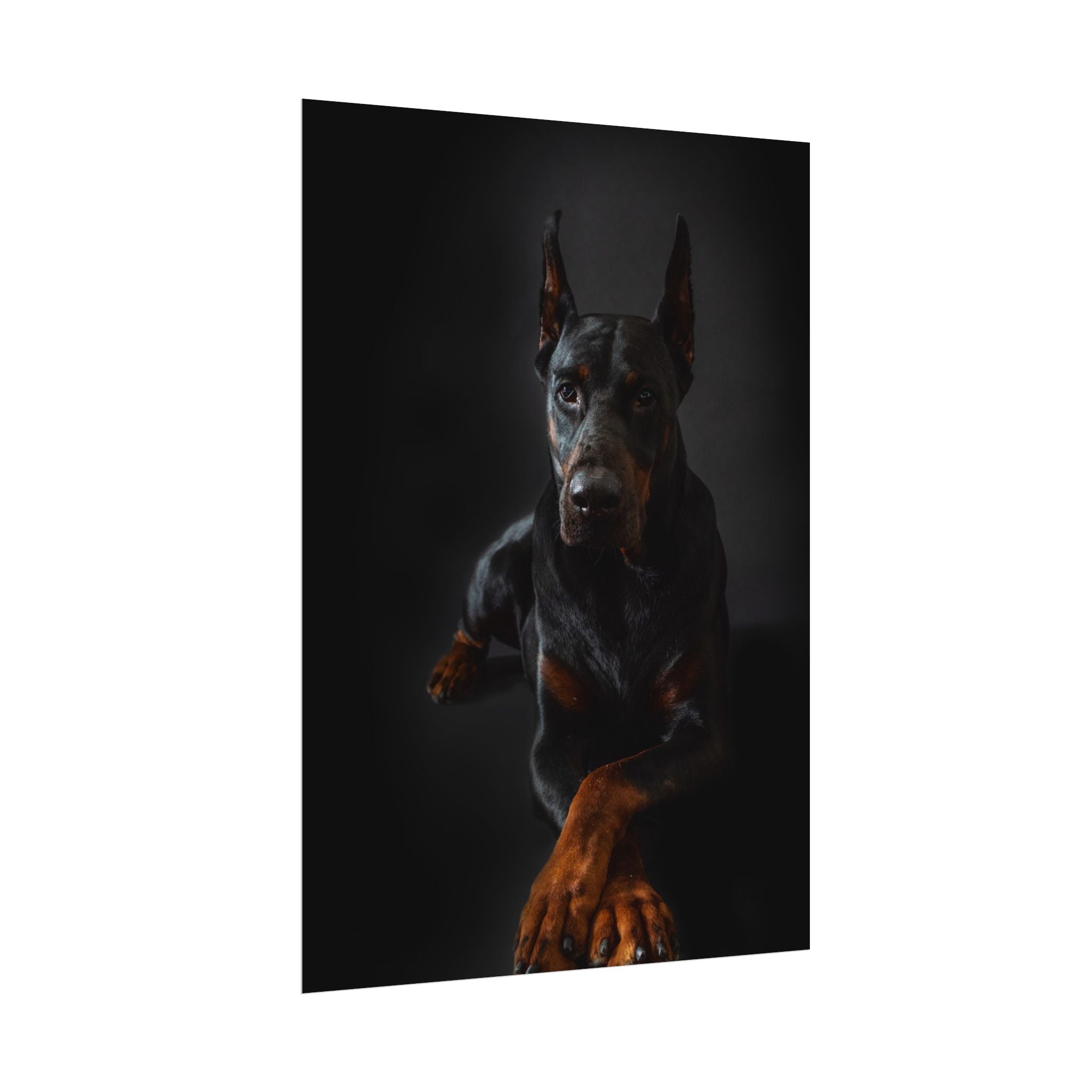 doberman-pincher-poster-print-rolled-posters-wall-art-home-decor-dog-lover-gift-animal-art-room-decoration