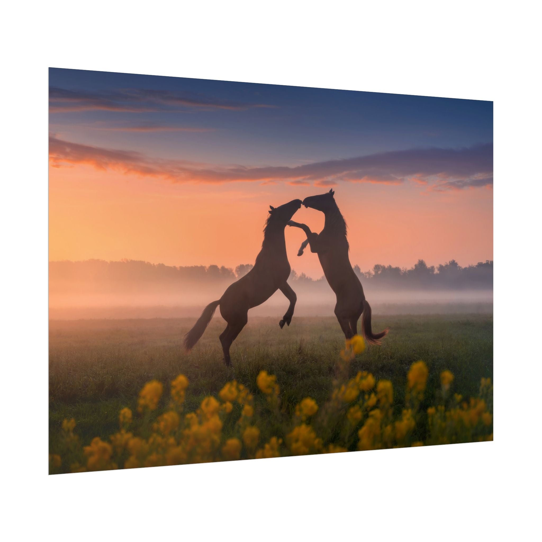wild-rising-horses-poster-print-field-of-flowers-decor-home-decor-farmhouse-wall-decor-nature-wall-art-horse-Poster-print-mus