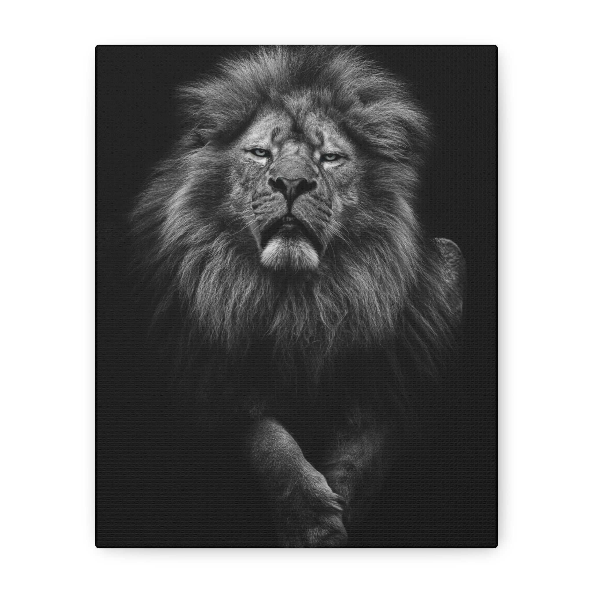 canvas-print-lion-wall-art-black-and-white-living-room-decor-matte-stretched-lion-poster-jungle-animal-art-print-wildlife-saf