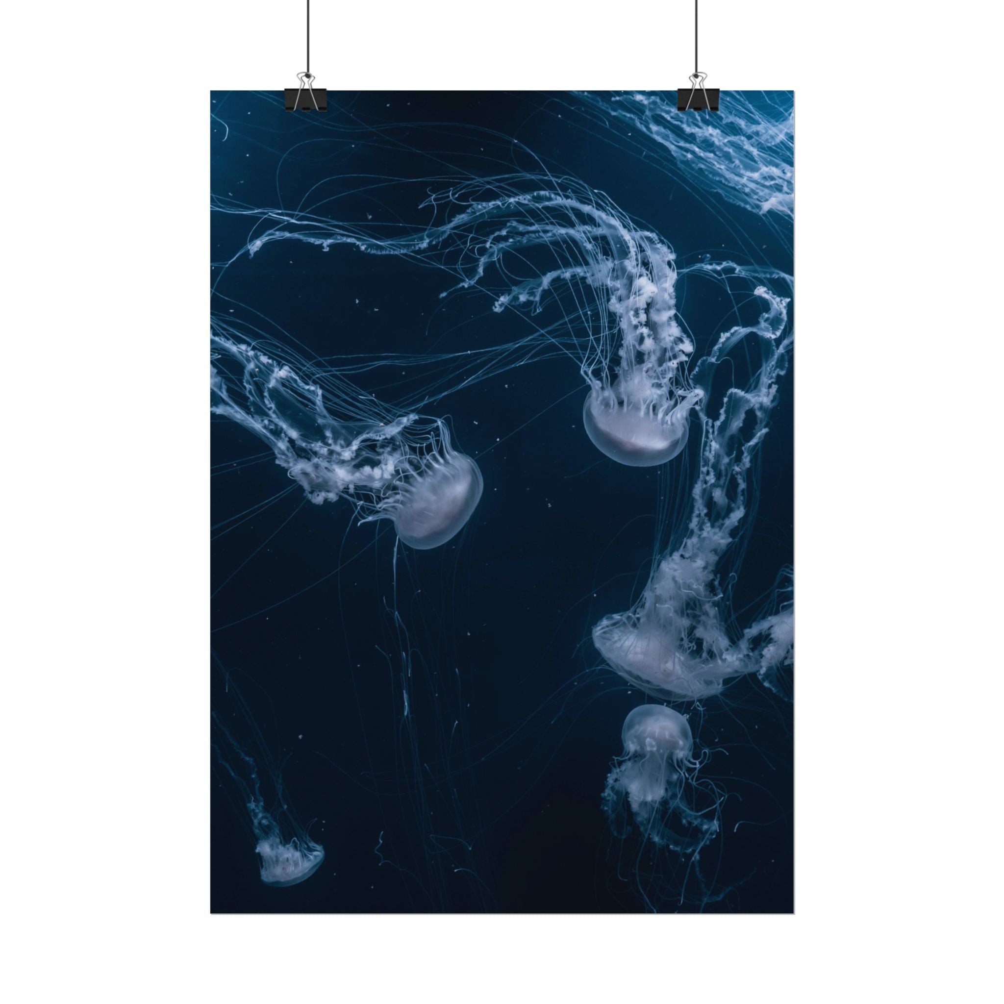 long-jellyfish-wall-art-poster-print-wall-hanging-ocean-life-deep-ocean-decor-home-decor-housewarming-gift
