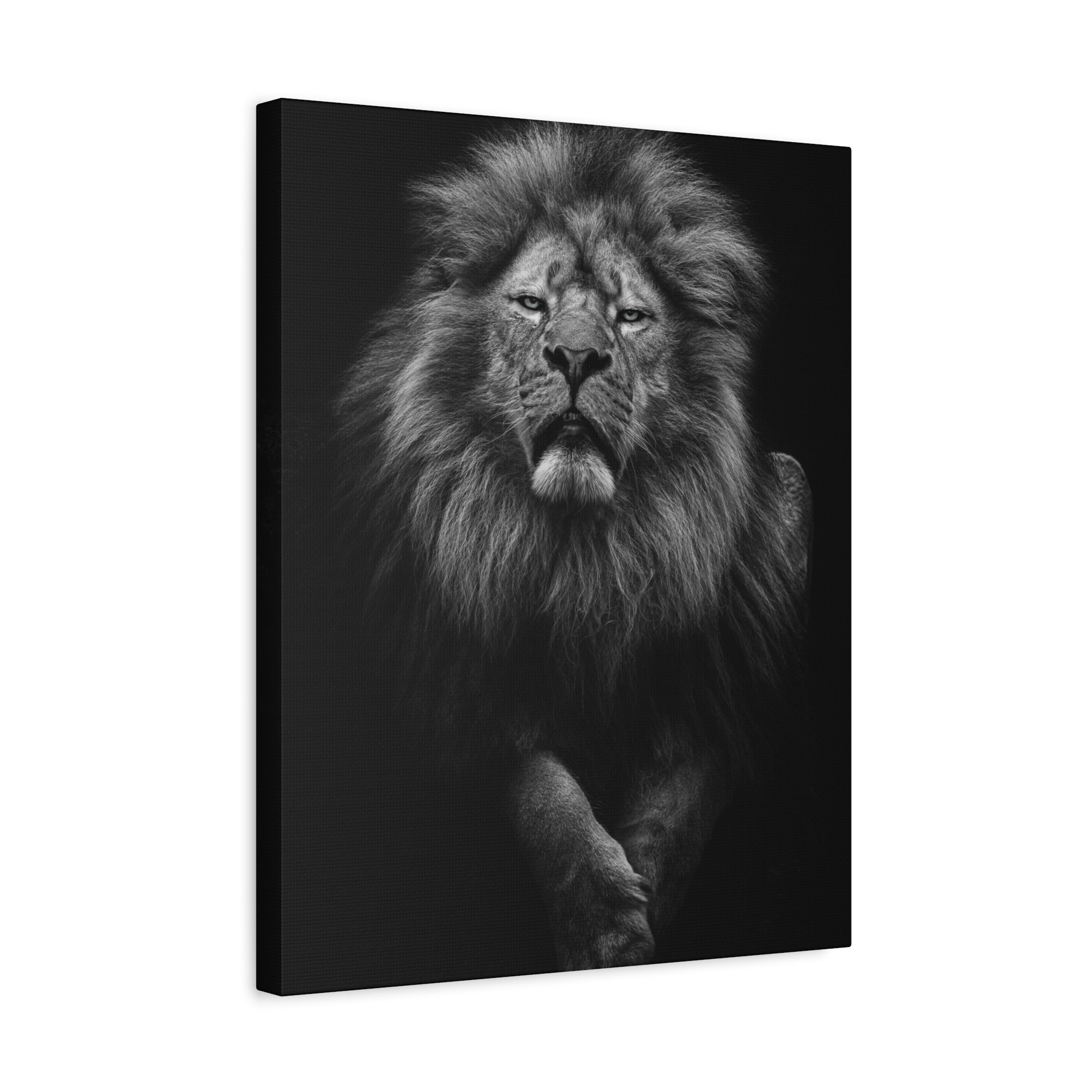 canvas-print-lion-wall-art-black-and-white-living-room-decor-matte-stretched-lion-poster-jungle-animal-art-print-wildlife-saf
