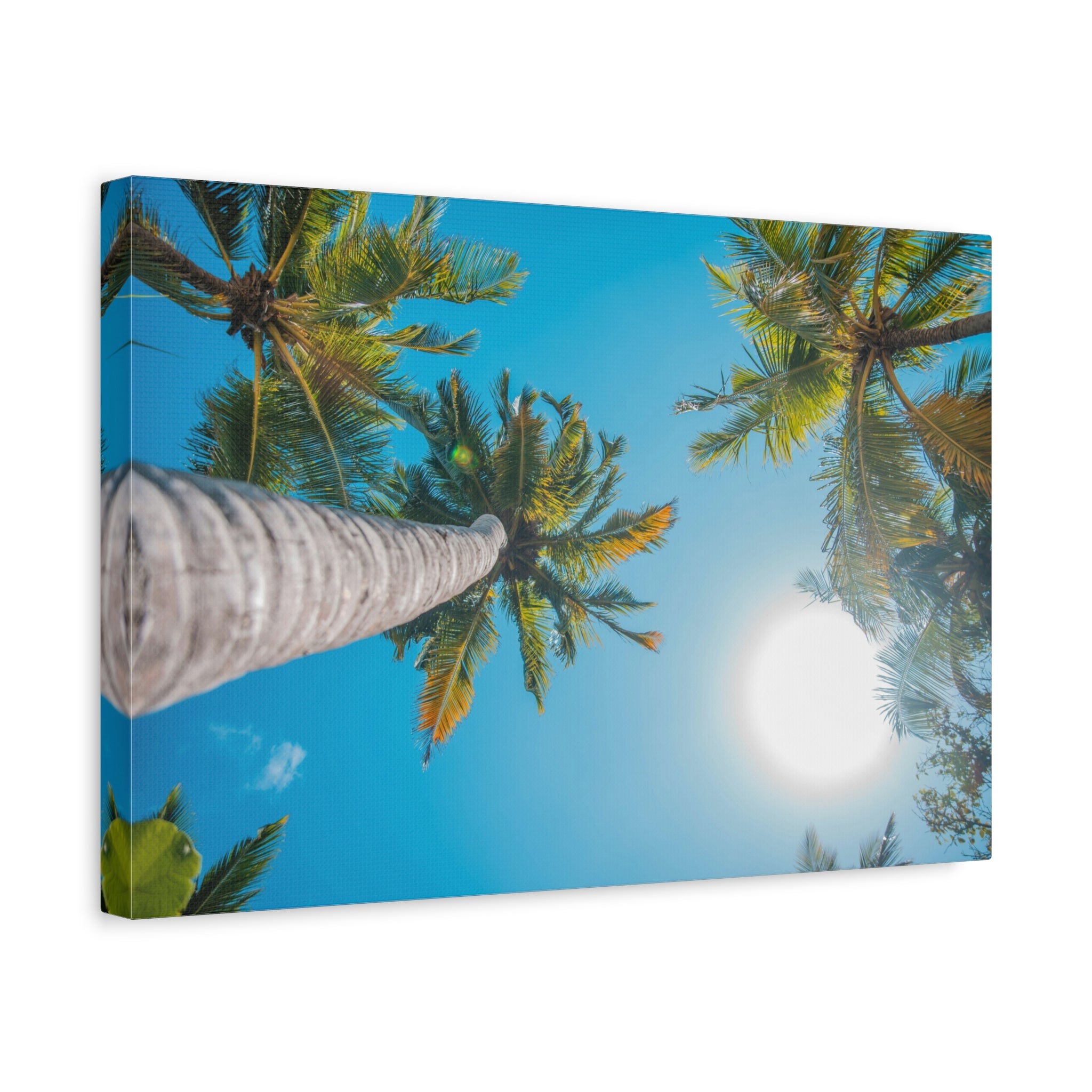 palm-tree-canvas-print-palm-tree-decor-wall-art-print-home-decor-palm-tree-fine-art-palm-tree-art-gallery-stretched-canvas-pr
