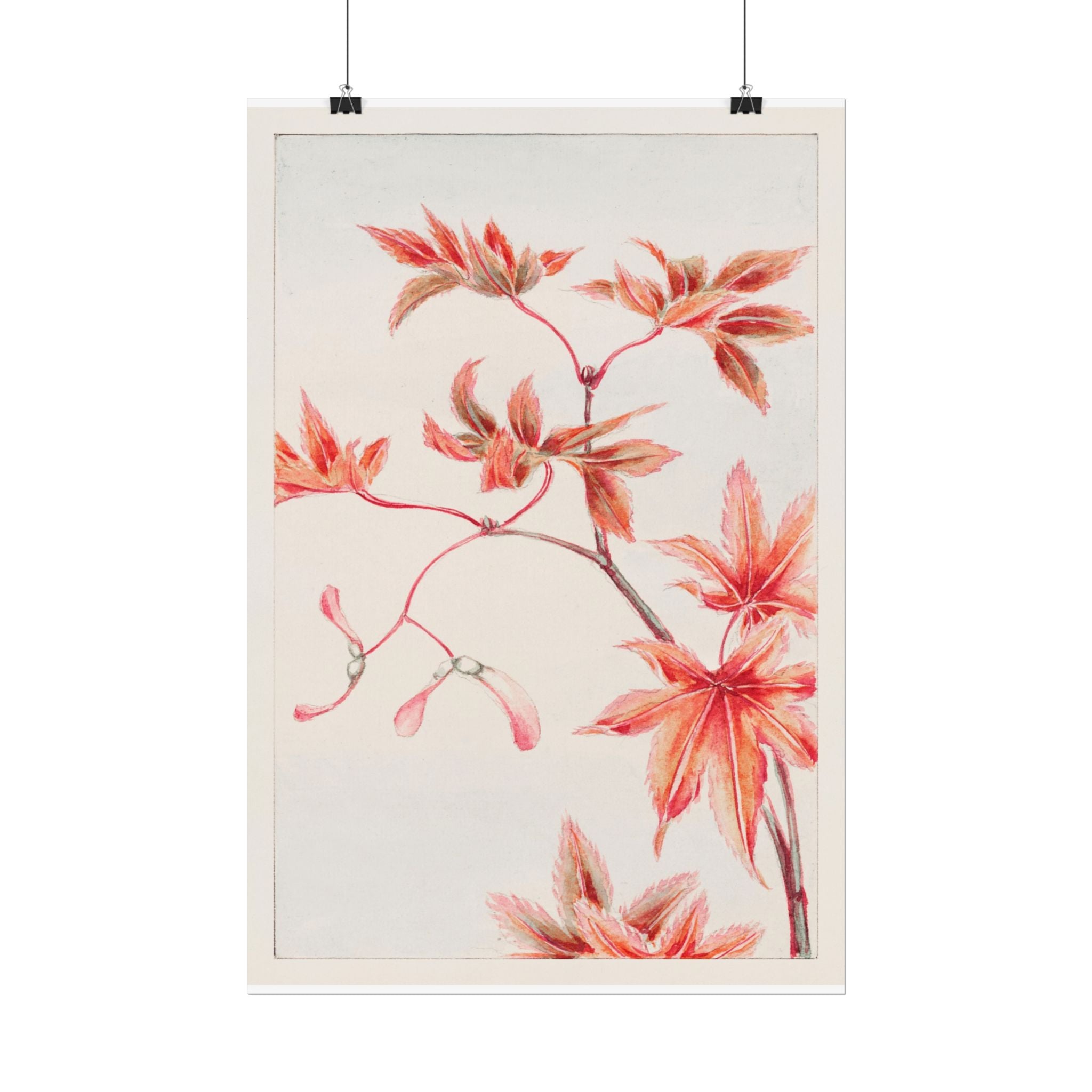 poster-print-branch-of-momiji-maple-tree-with-leaves-floral-wall-art-rolled-posters-wall-decor-room-decoration-nature-art-bot
