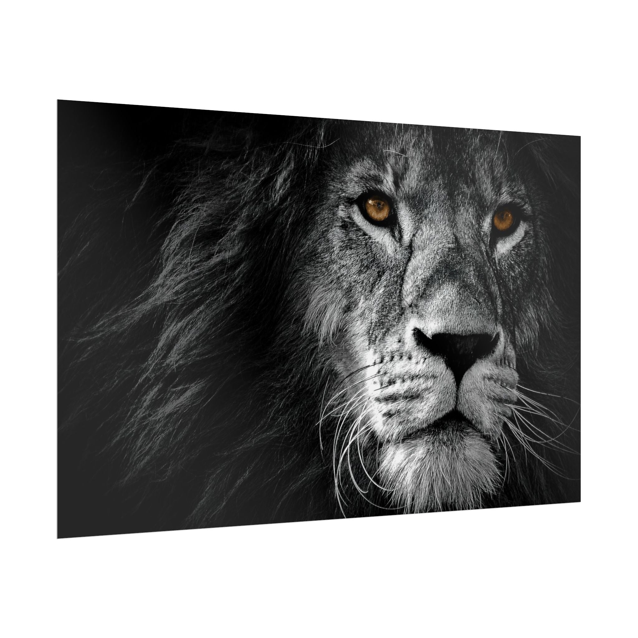 poster-print-lion-wall-art-black-and-white-monochrome-decor-living-room-decor-lion-poster-jungle-animal-art-print-wildlife-sa