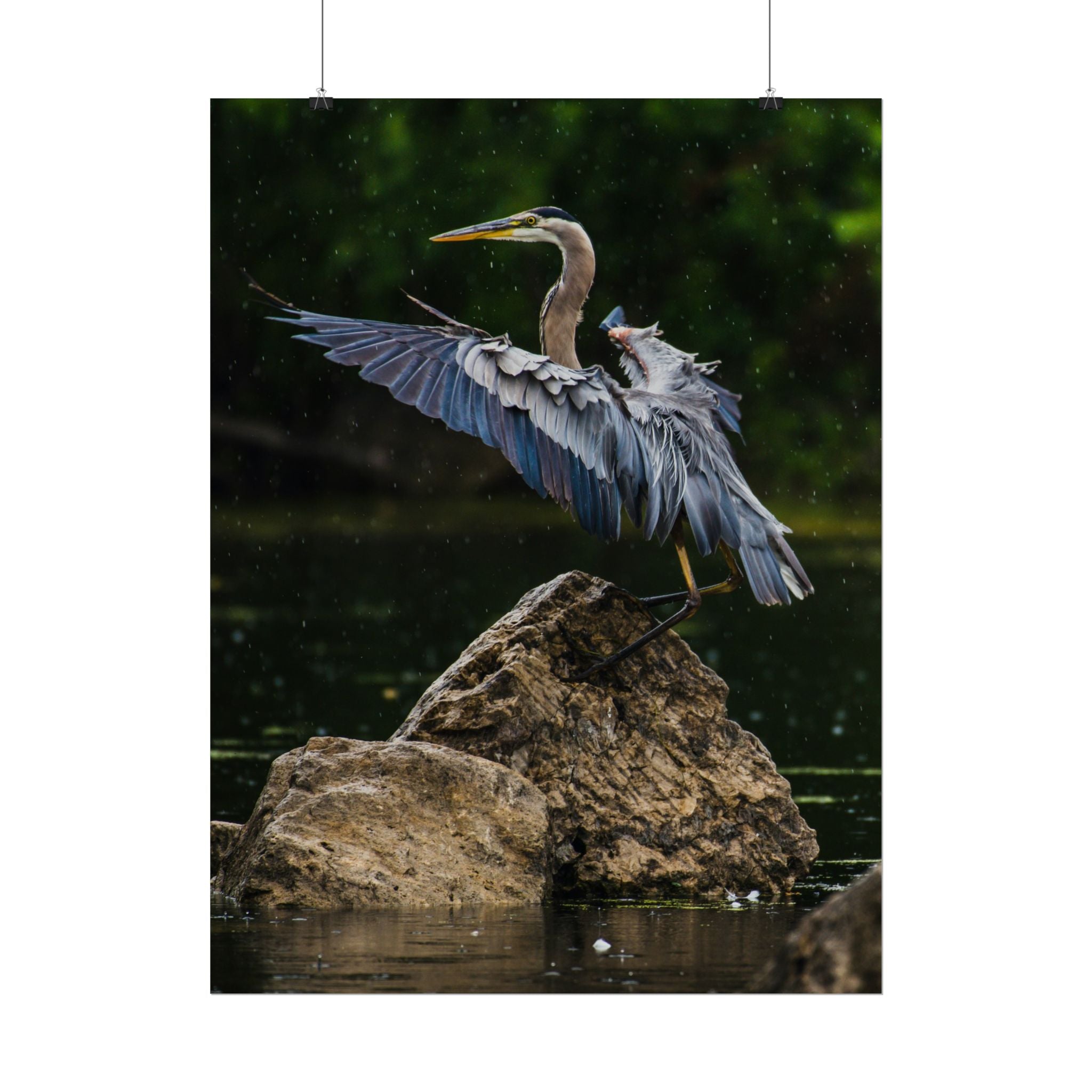 great-blue-heron-poster-wall-art-home-decor-bird-lover-gift-nature-wall-hanging-wildlife-poster