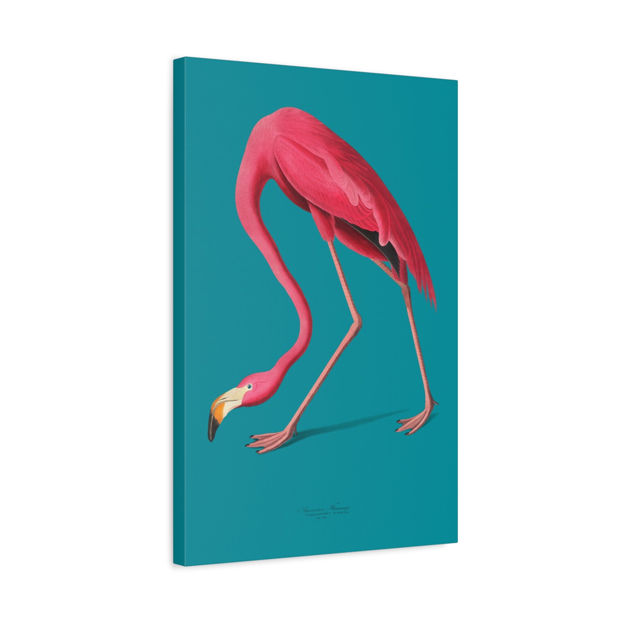 canvas-print-pink-flamingo-wall-art-vintage-home-decor-living-room-decor-stretched-canvas-art-pink-wall-art-flamingo-illustra