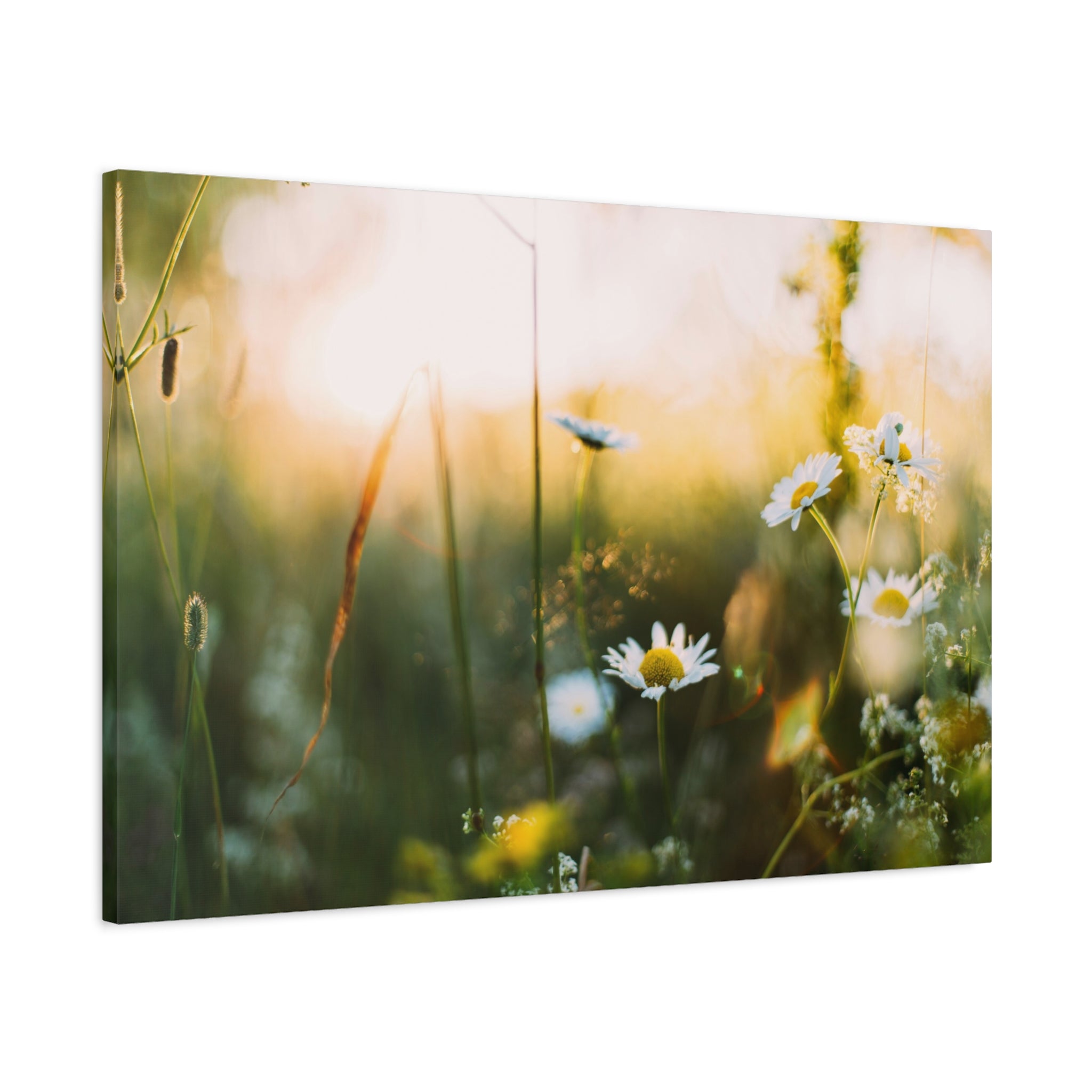 canvas-print-spring-flowers-wall-art-floral-home-decor-matte-canvas-print-stretched-canvas-art-1-25-canvas-artwork-botanical-