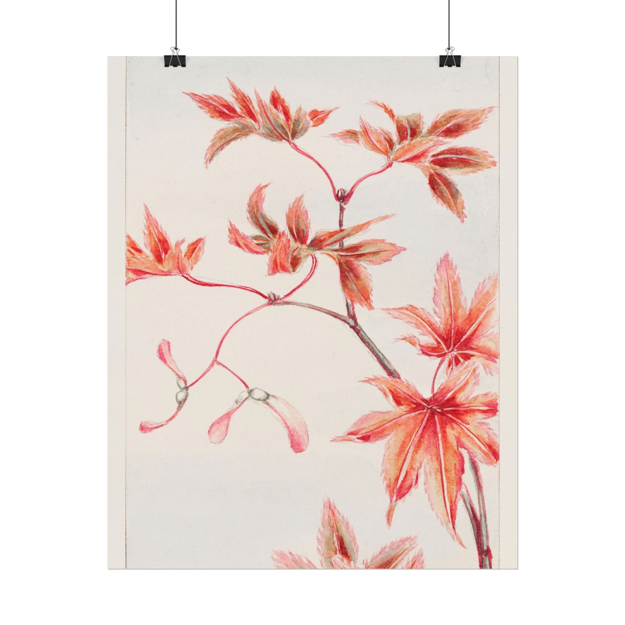 poster-print-branch-of-momiji-maple-tree-with-leaves-floral-wall-art-rolled-posters-wall-decor-room-decoration-nature-art-bot