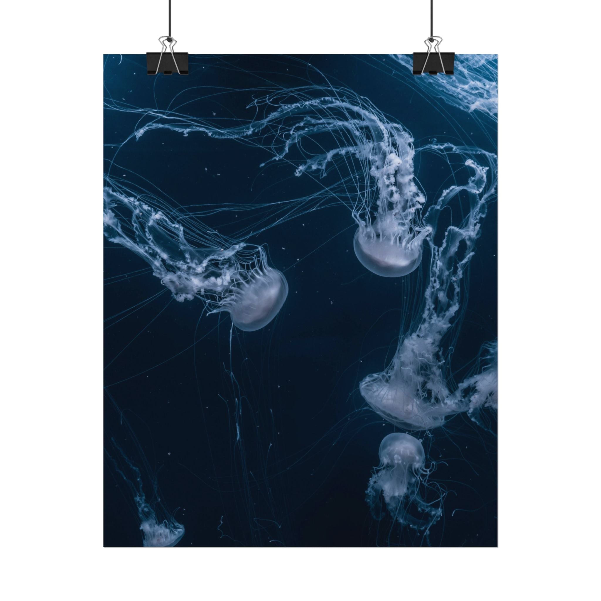 long-jellyfish-wall-art-poster-print-wall-hanging-ocean-life-deep-ocean-decor-home-decor-housewarming-gift