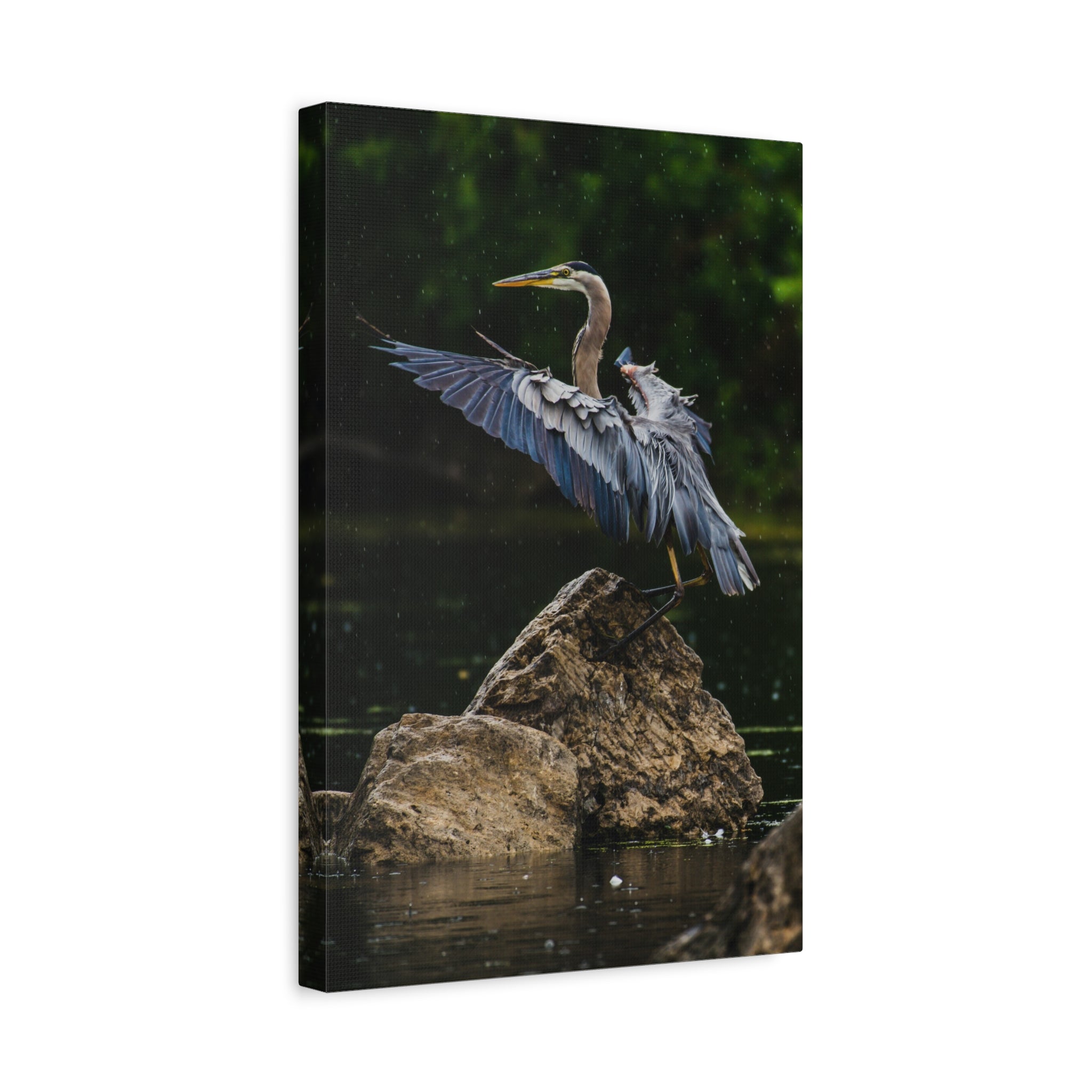 canvas-print-wall-art-great-blue-heron-matte-canvas-stretched-home-decor-bird-lover-gift-nature-wall-hanging-wildlife